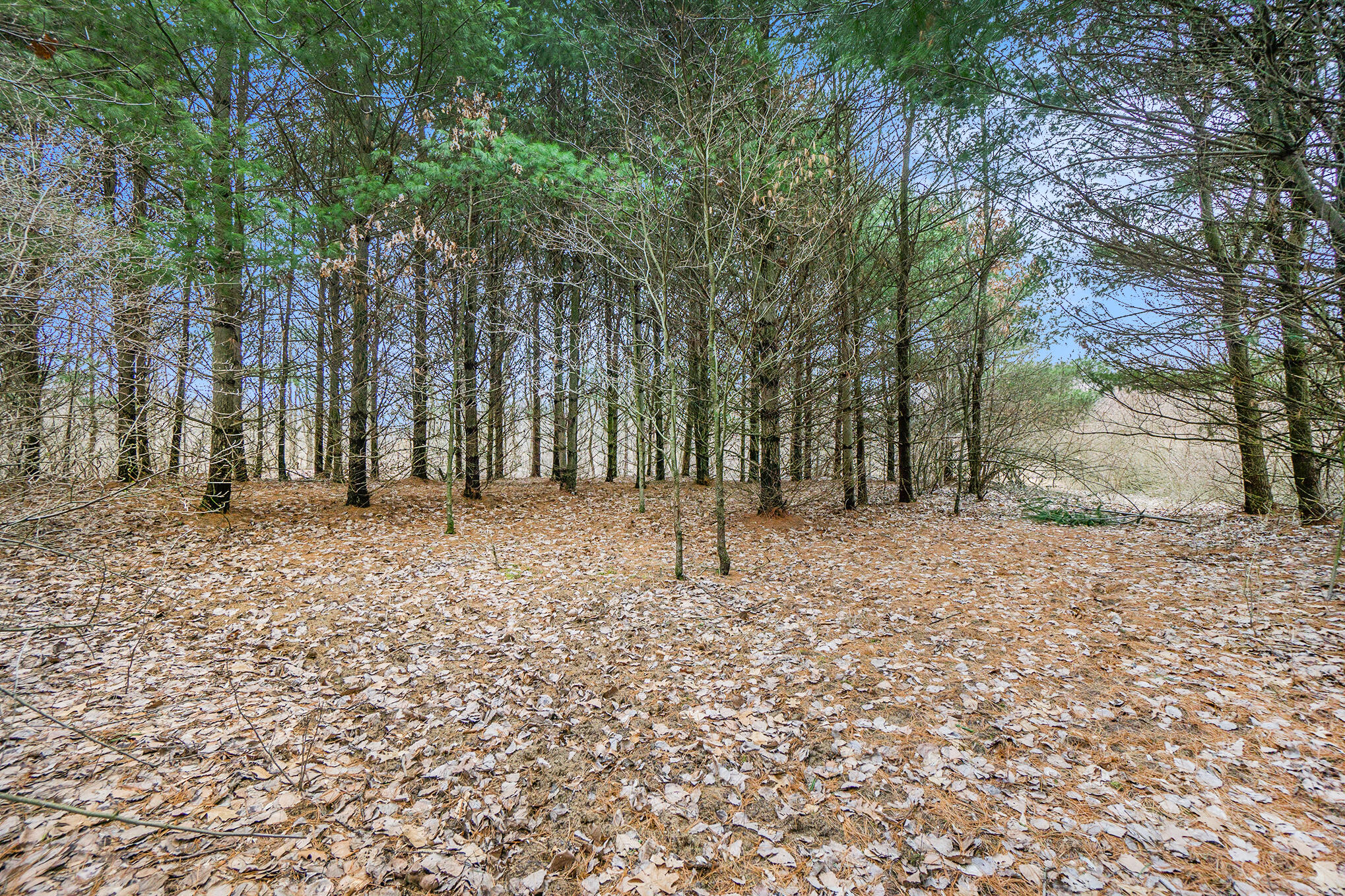 Lot 6 Highfield Road Property Photo 18