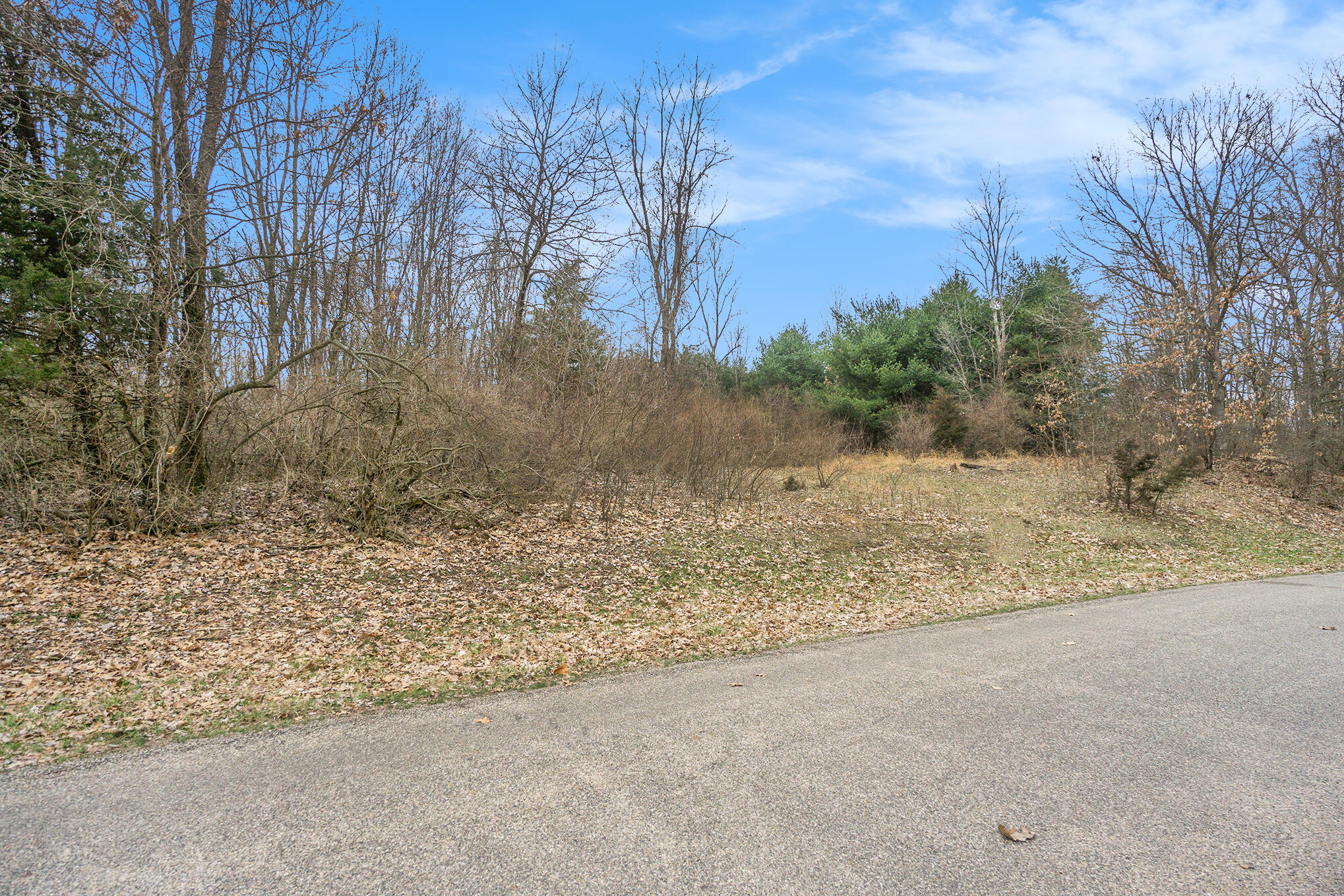 Lot 7 Highfield Road Property Photo 12