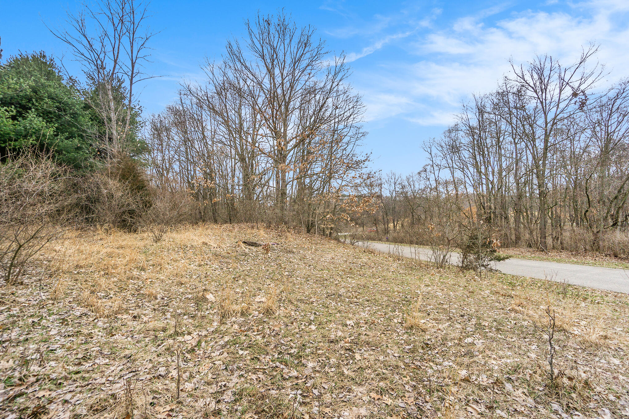 Lot 7 Highfield Road Property Photo 16