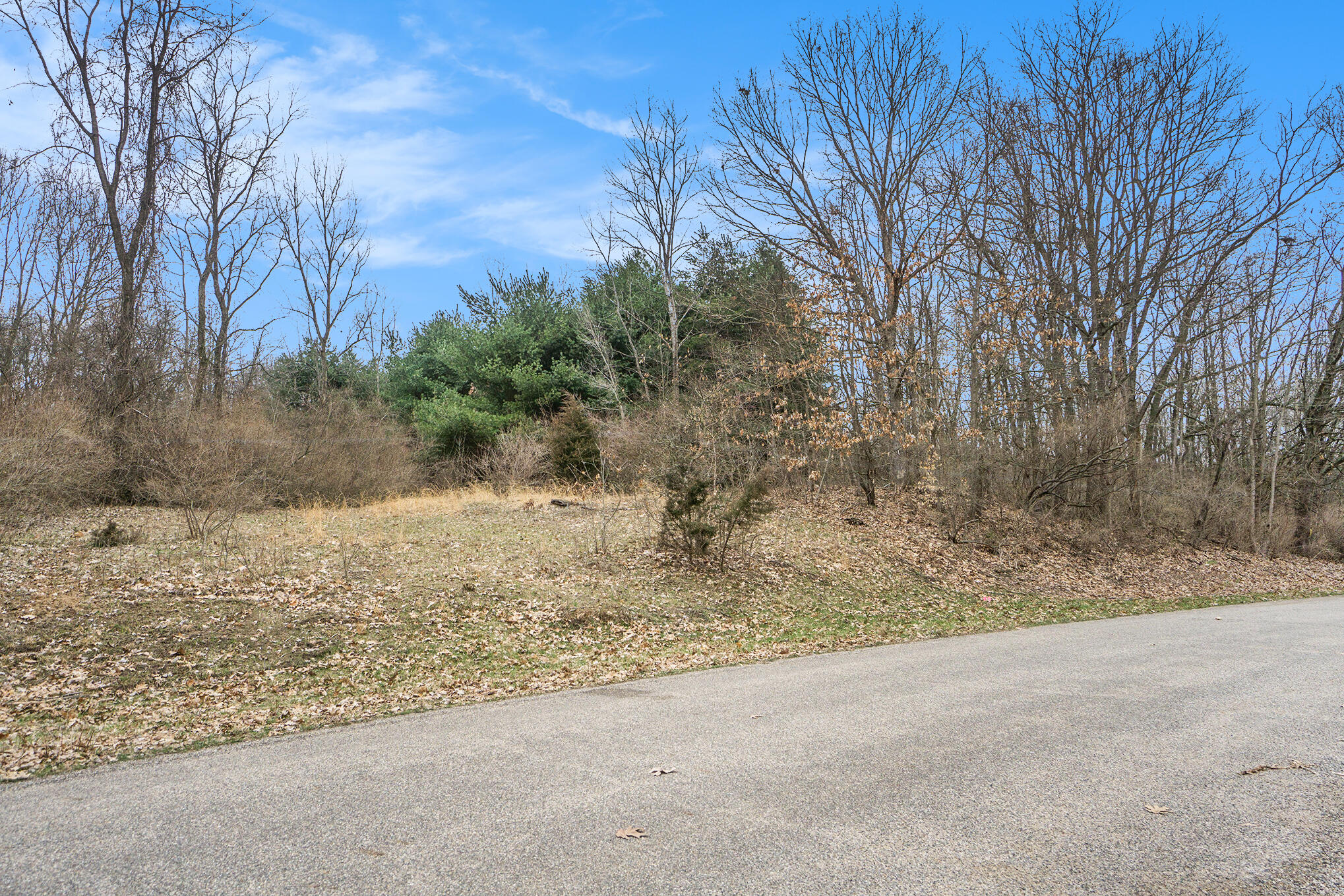 Lot 7 Highfield Road Property Photo 19