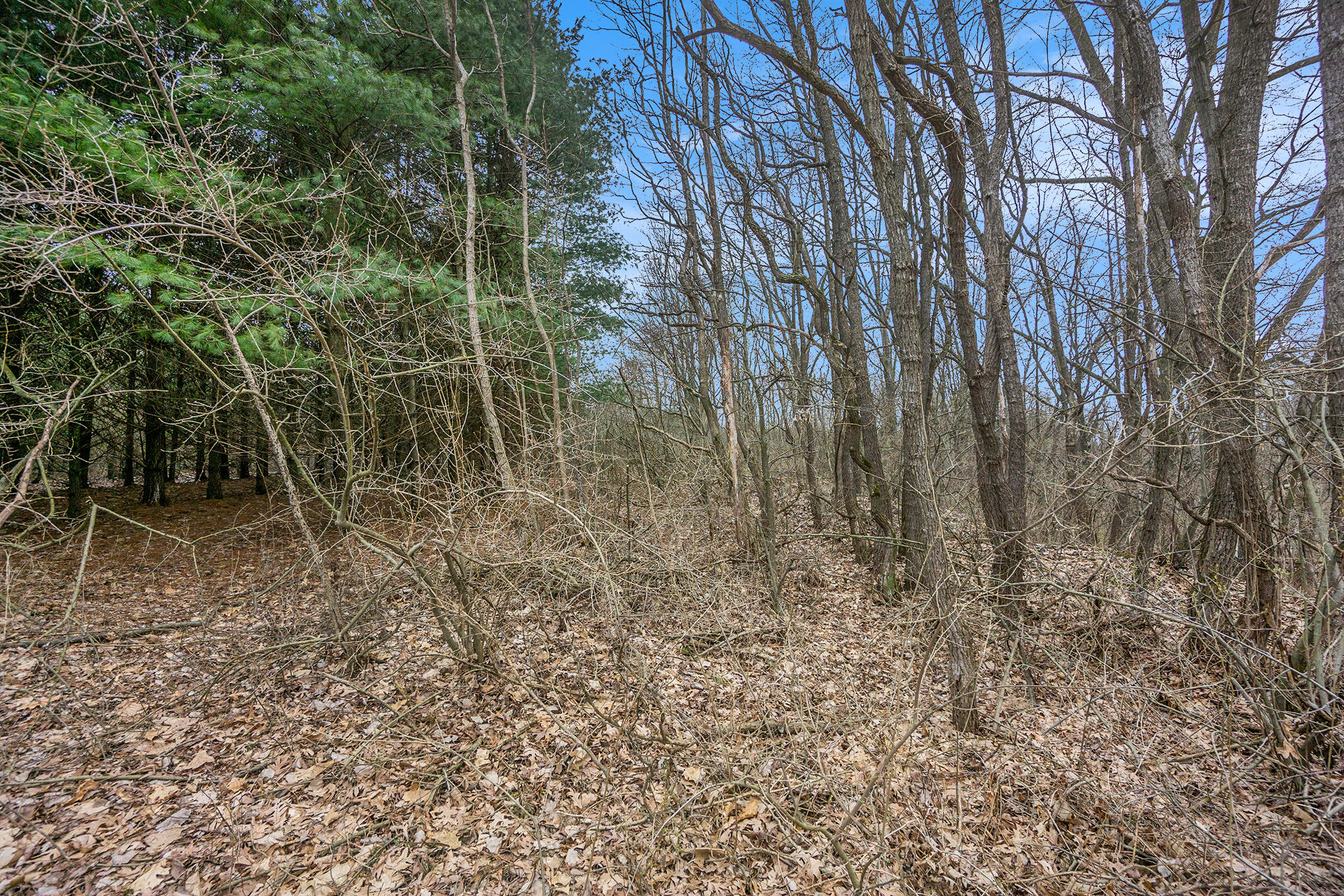 Lot 7 Highfield Road Property Photo 20