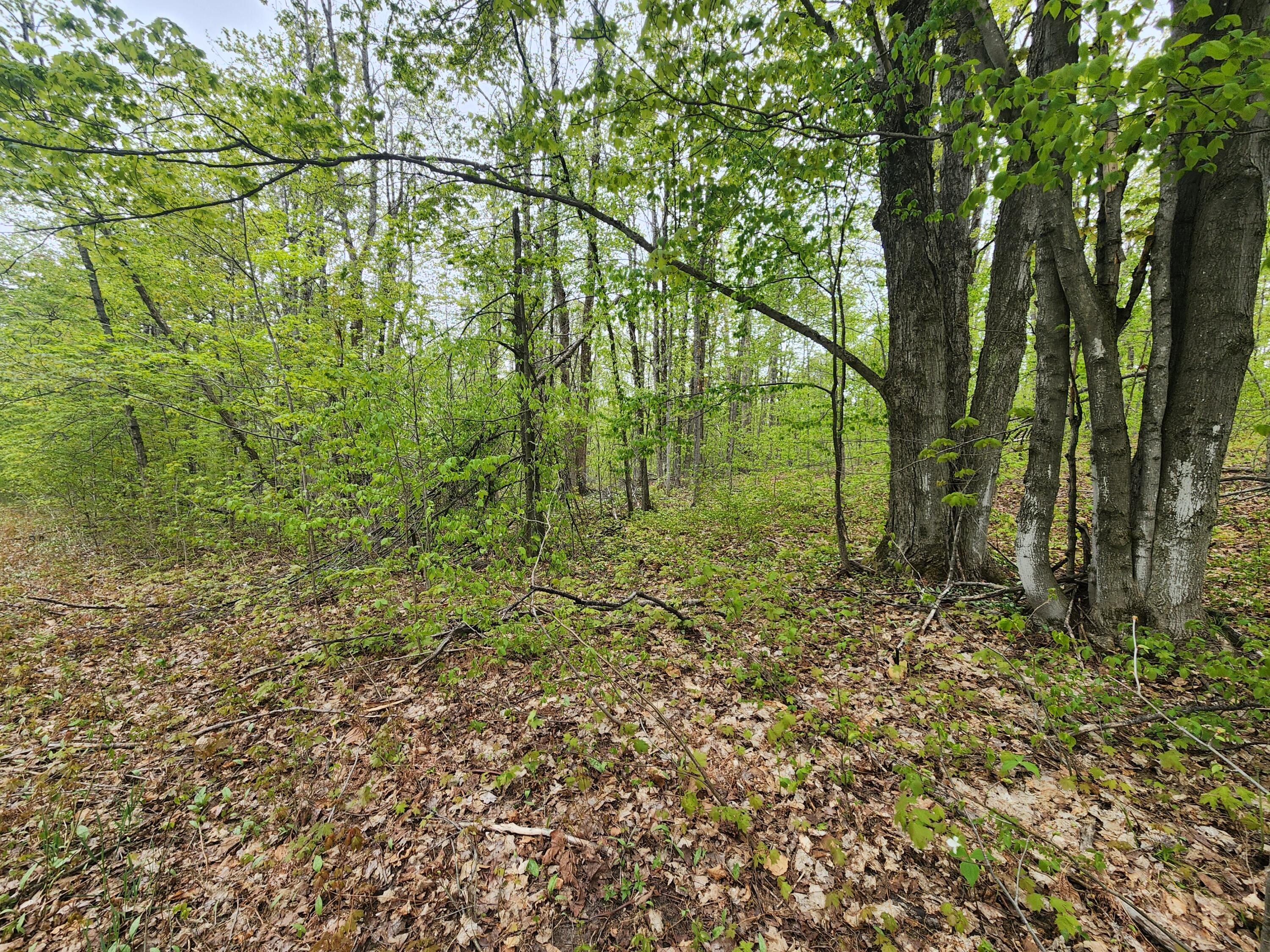 Valleyridge Circle Property Photo 1