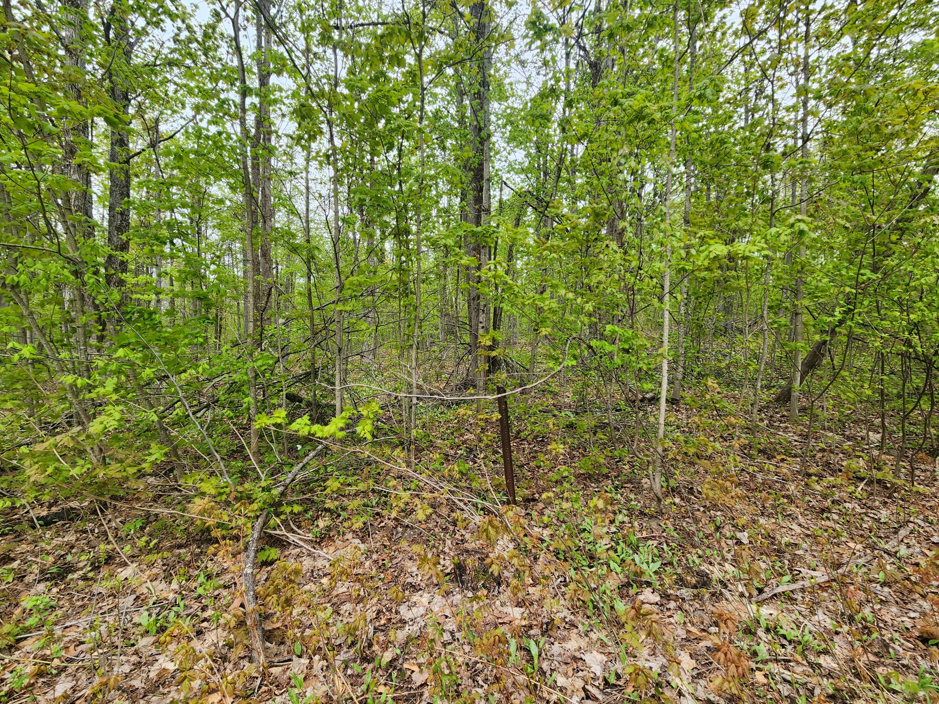 Valleyridge Circle Property Photo 3