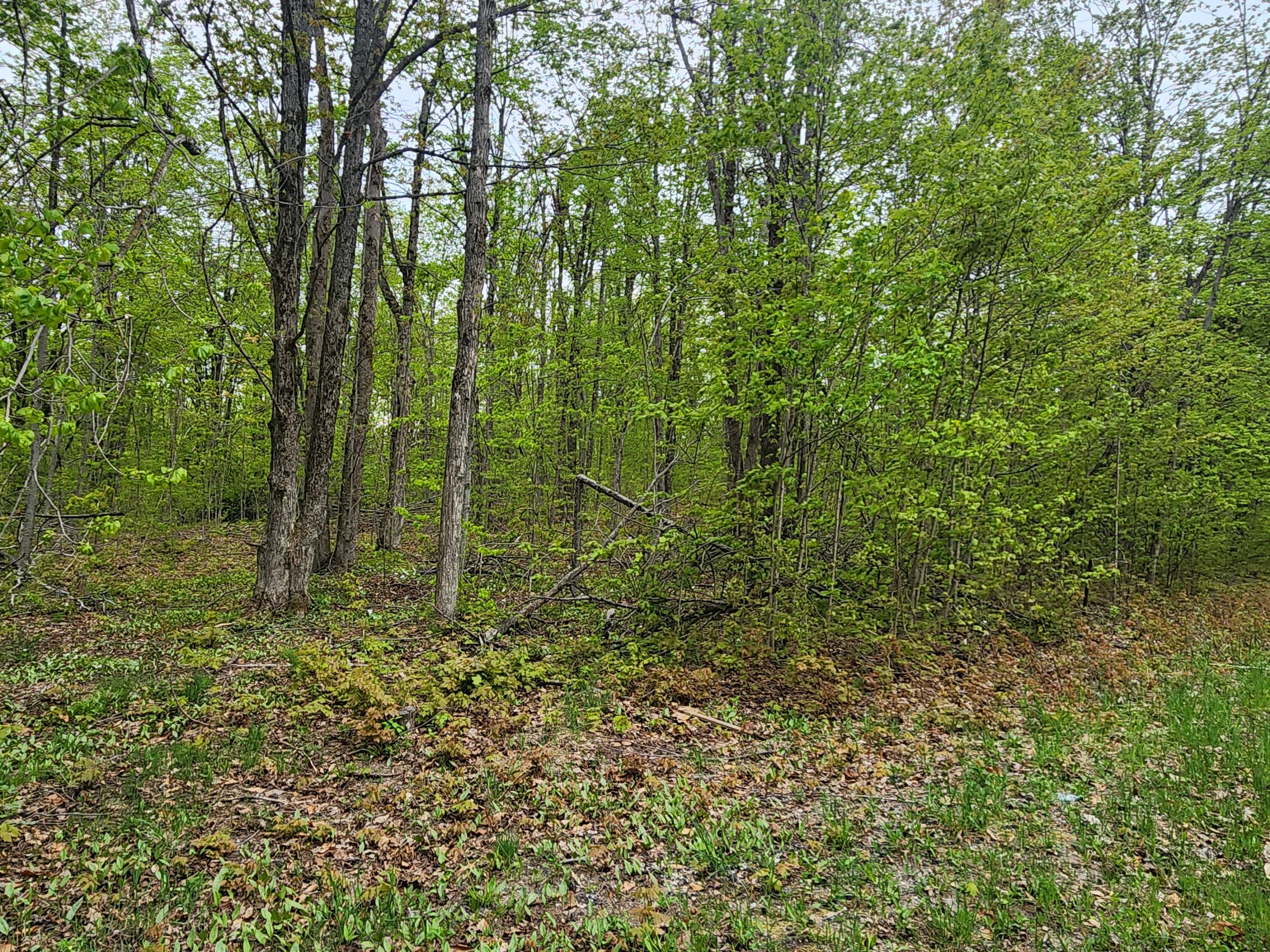 Valleyridge Circle Property Photo 5