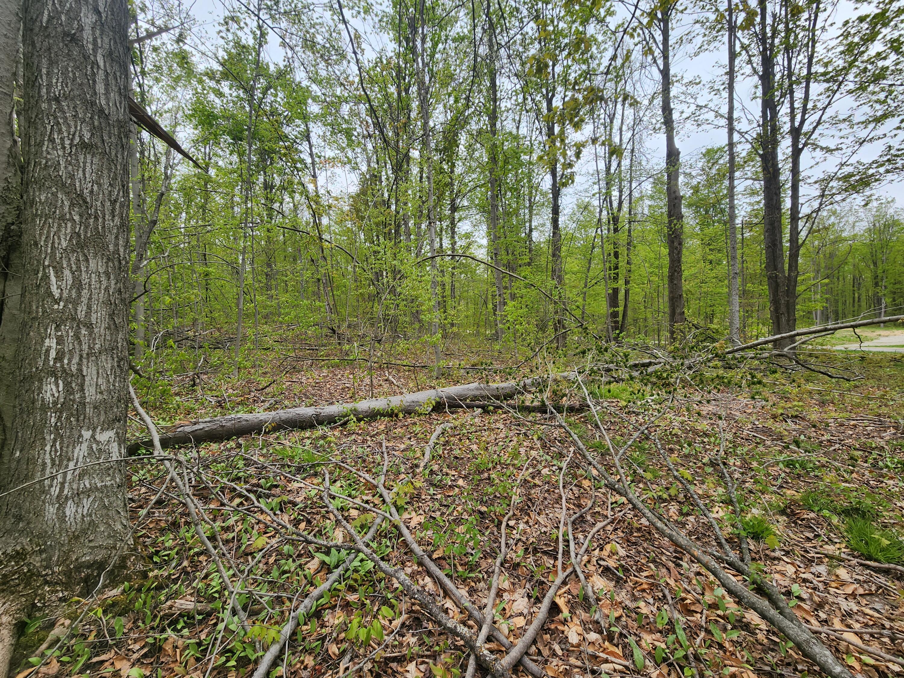Valleyridge Circle Property Photo 6