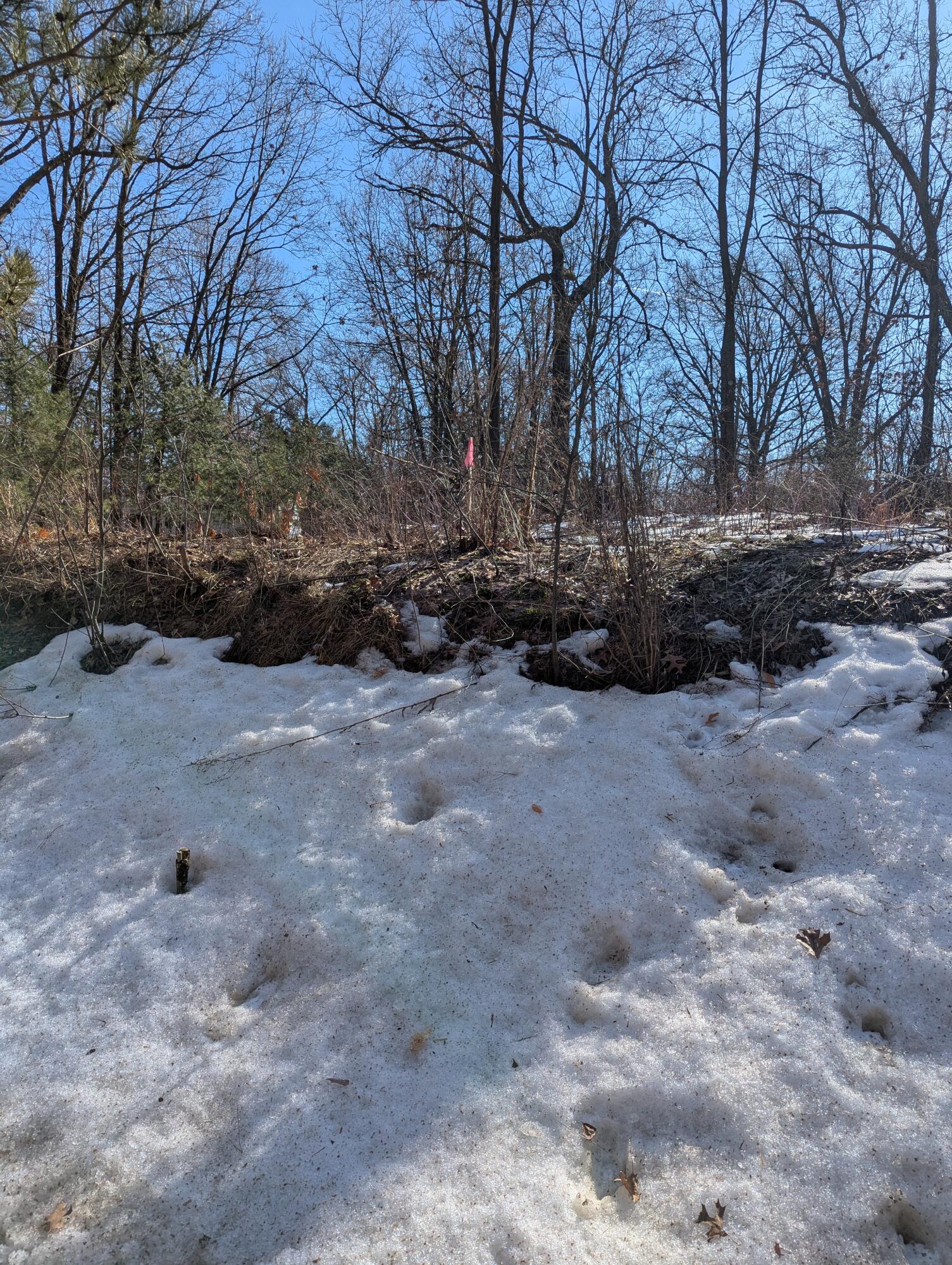 Parcel B E 136th Street Property Photo 19