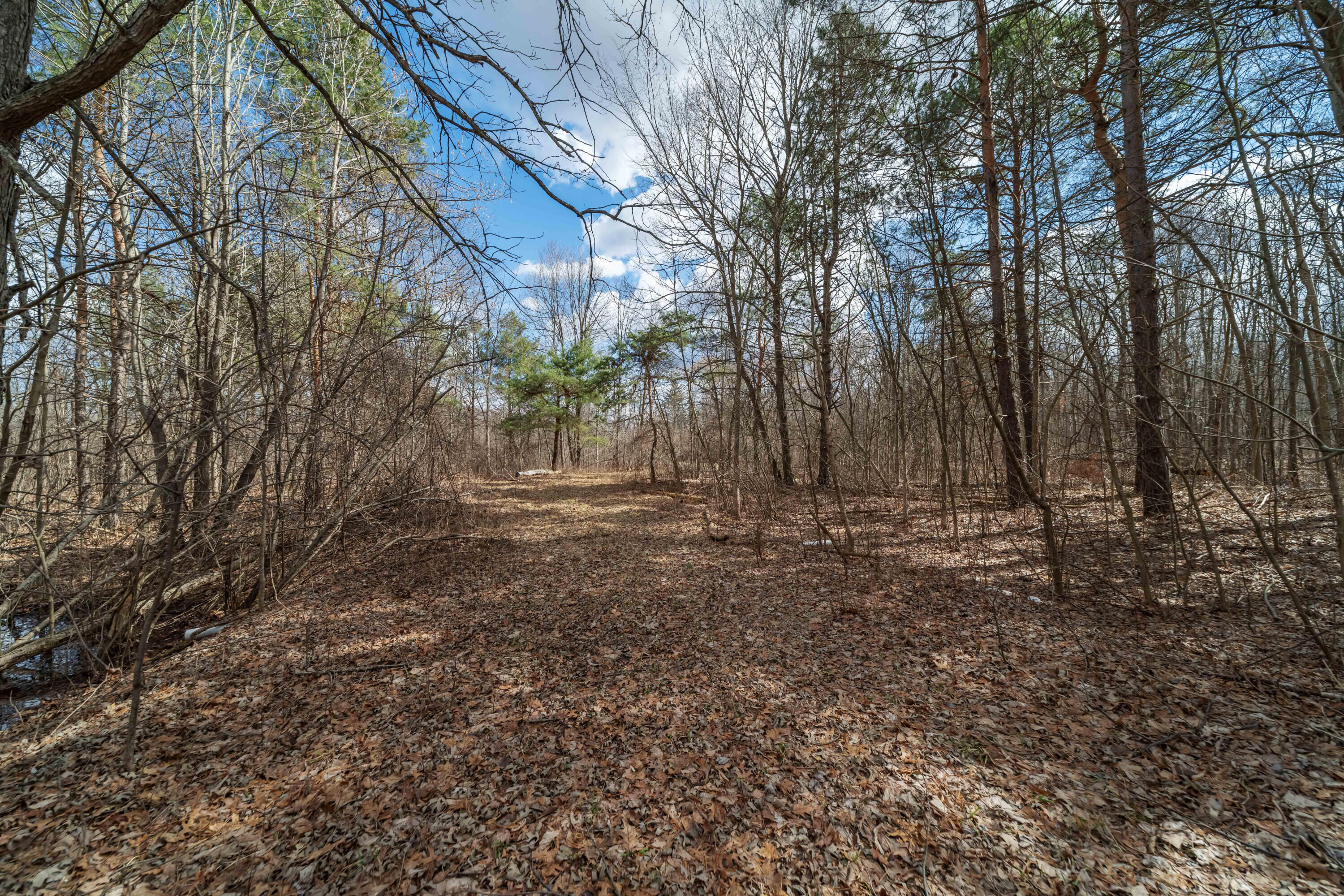 2725 S Duck Lake Road Property Photo 2