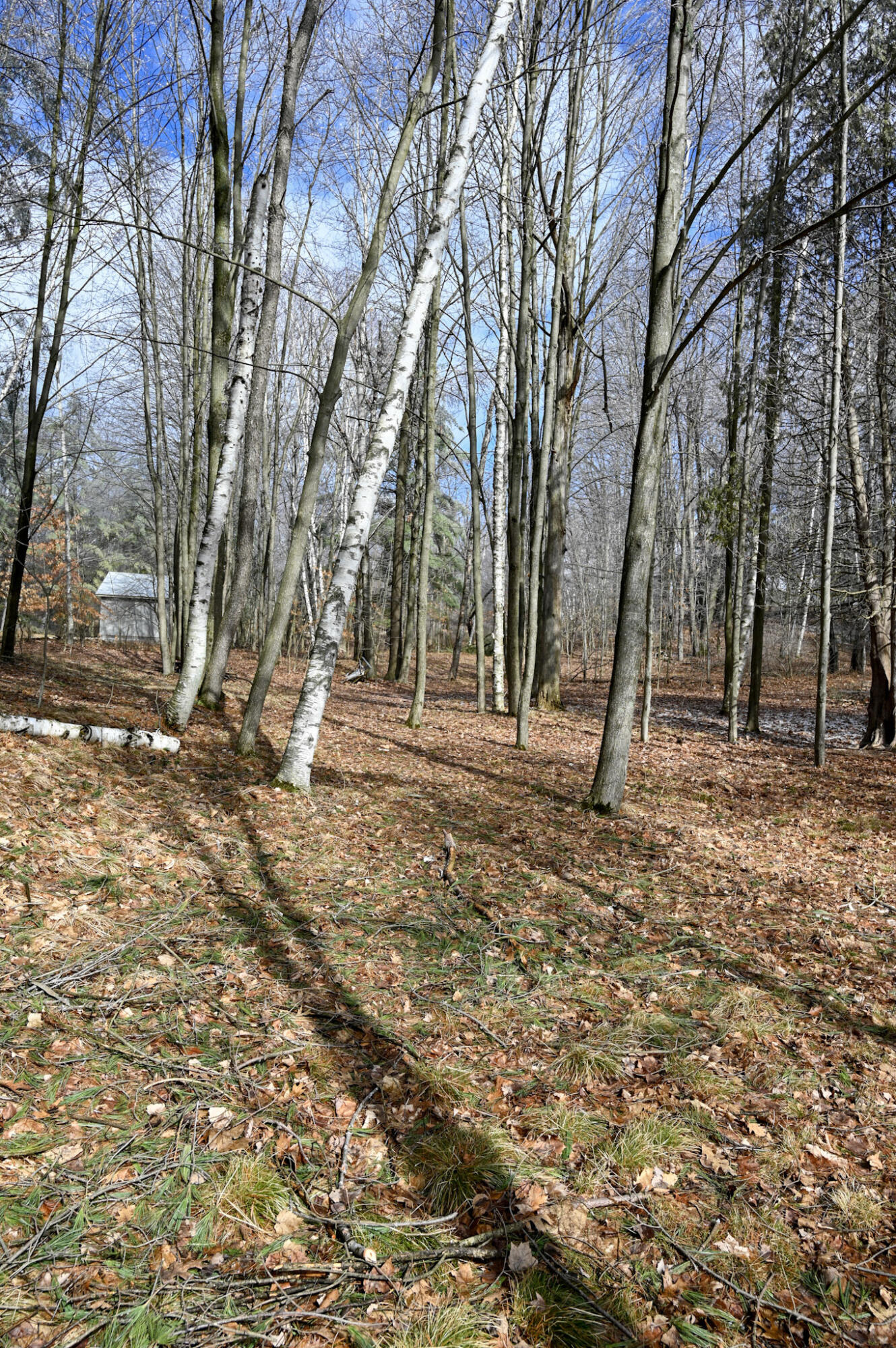 9828 Pontiac Trail Property Photo 5