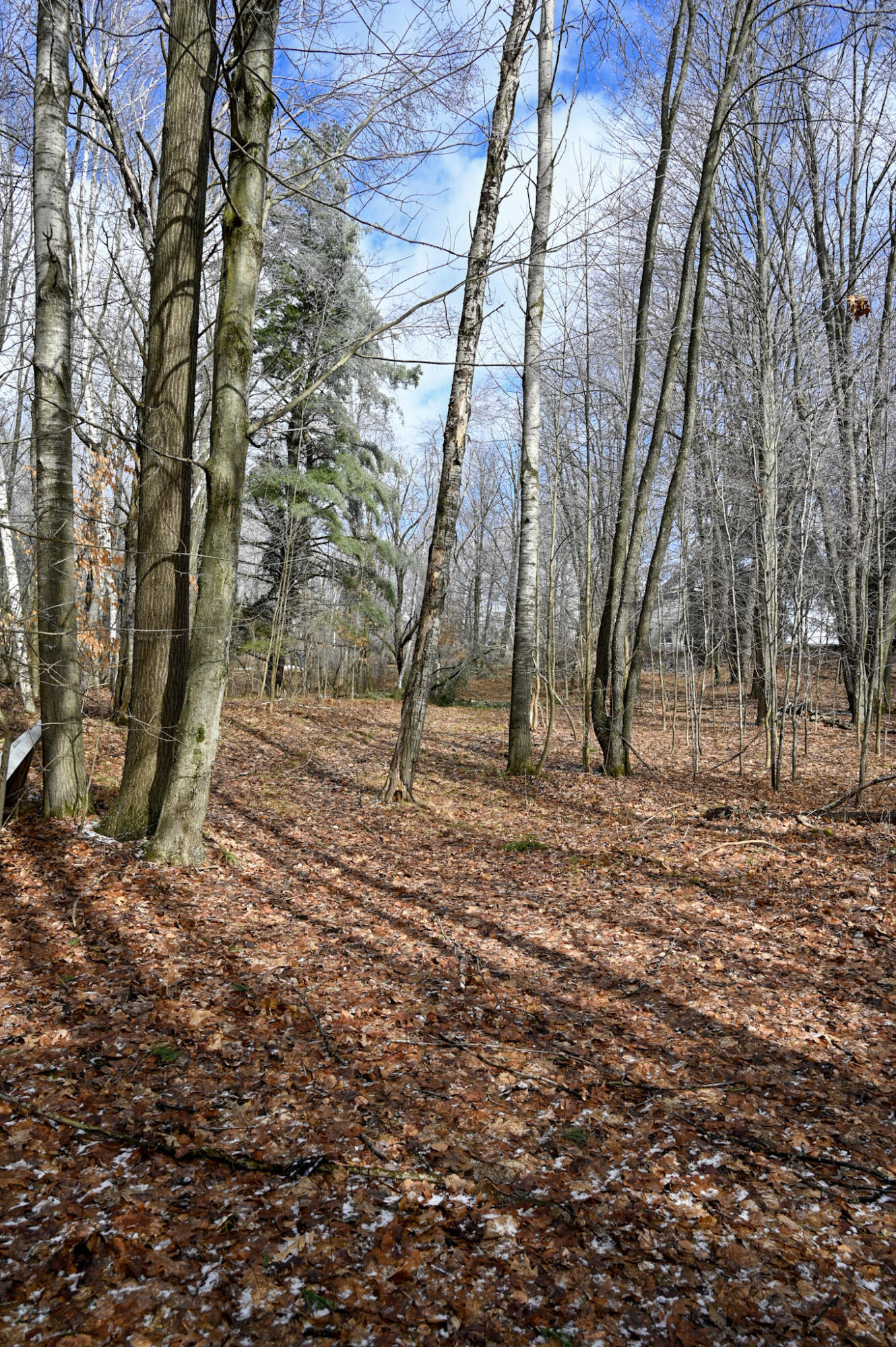 9828 Pontiac Trail Property Photo 7