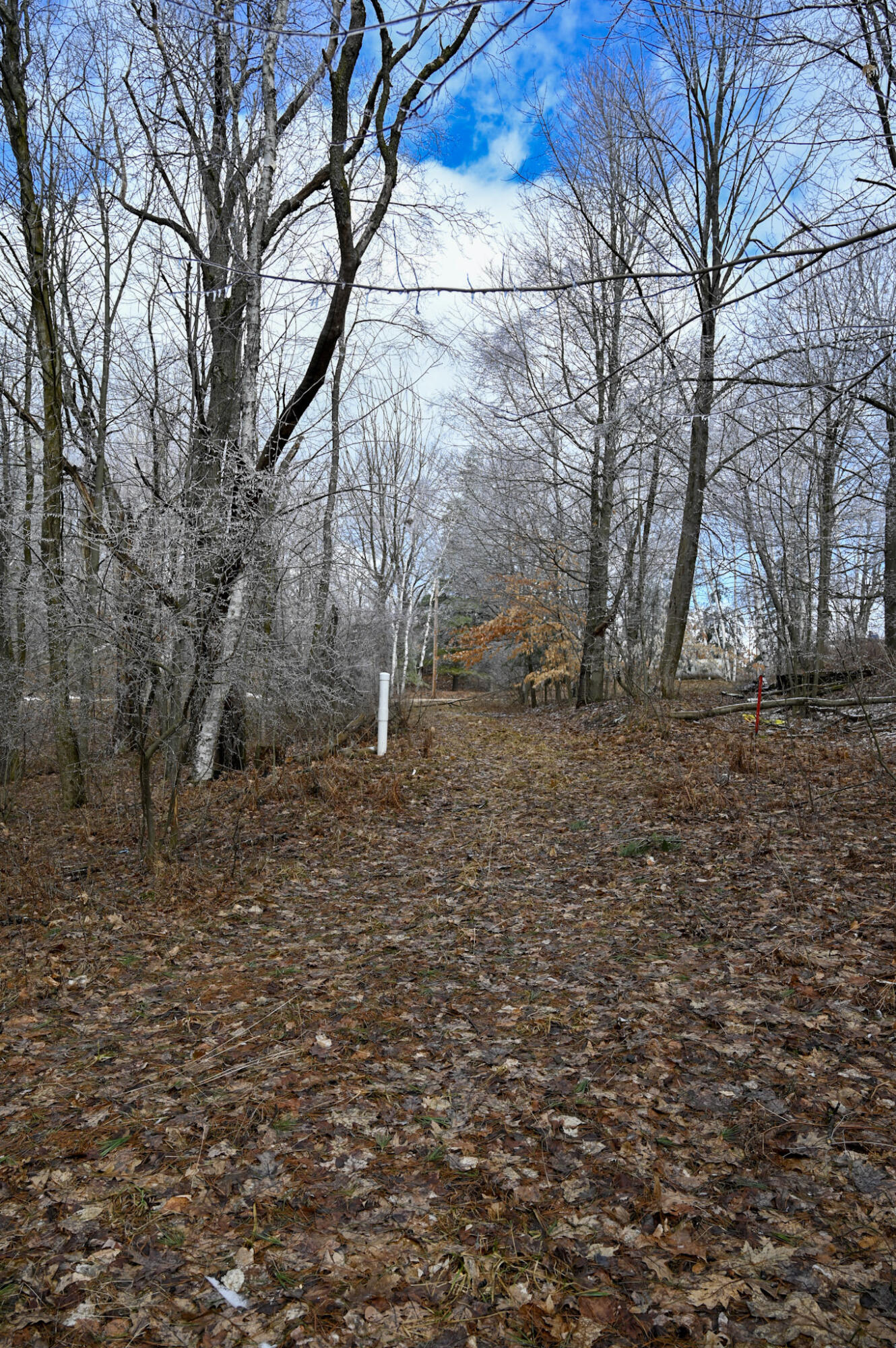9828 Pontiac Trail Property Photo 9