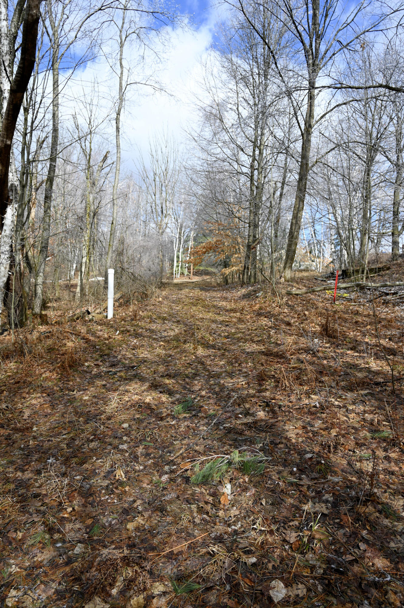 9828 Pontiac Trail Property Photo 10