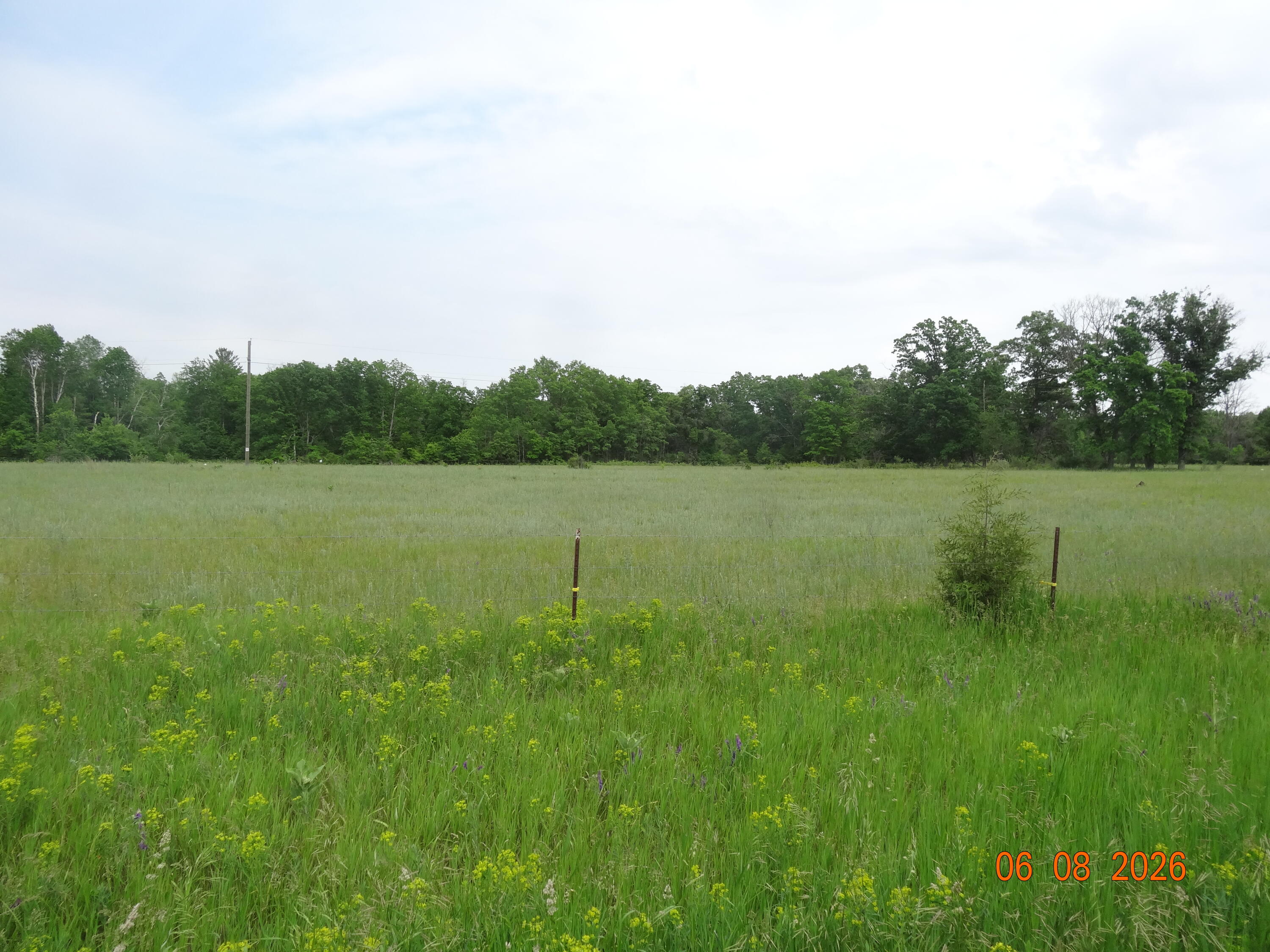 550 S Oak Avenue Property Photo 3
