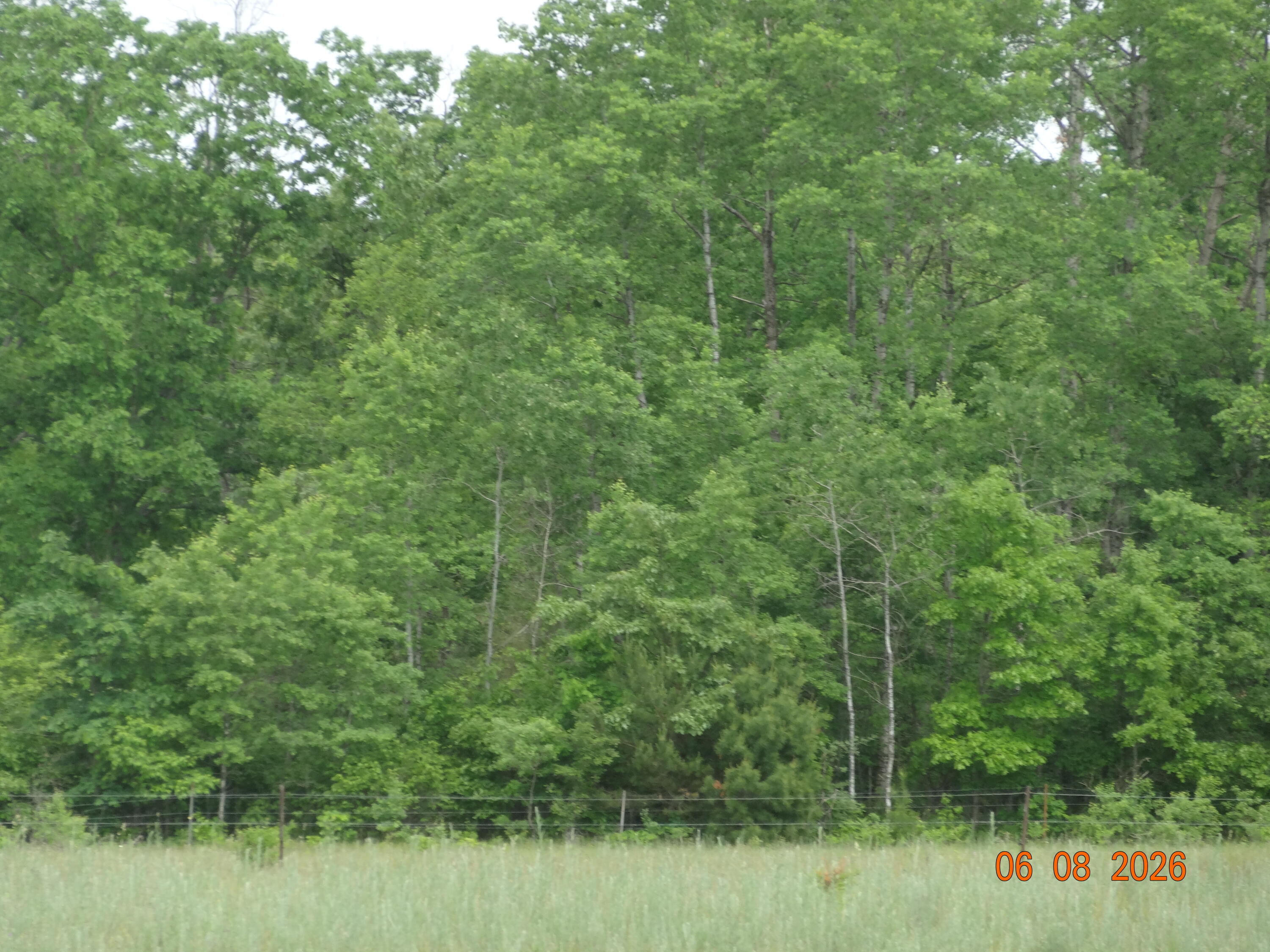 550 S Oak Avenue Property Photo 4