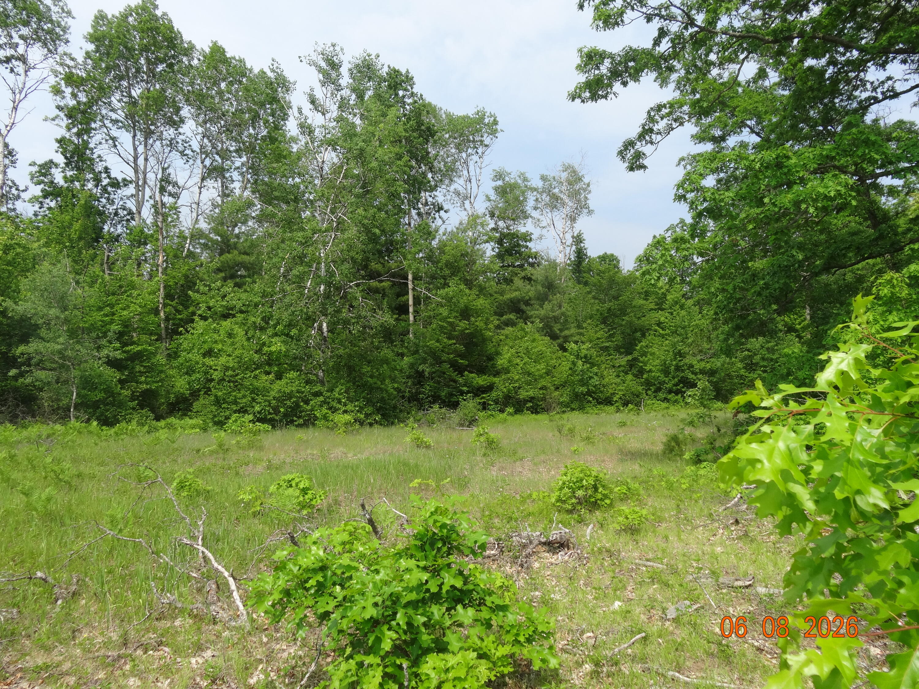 550 S Oak Avenue Property Photo 5