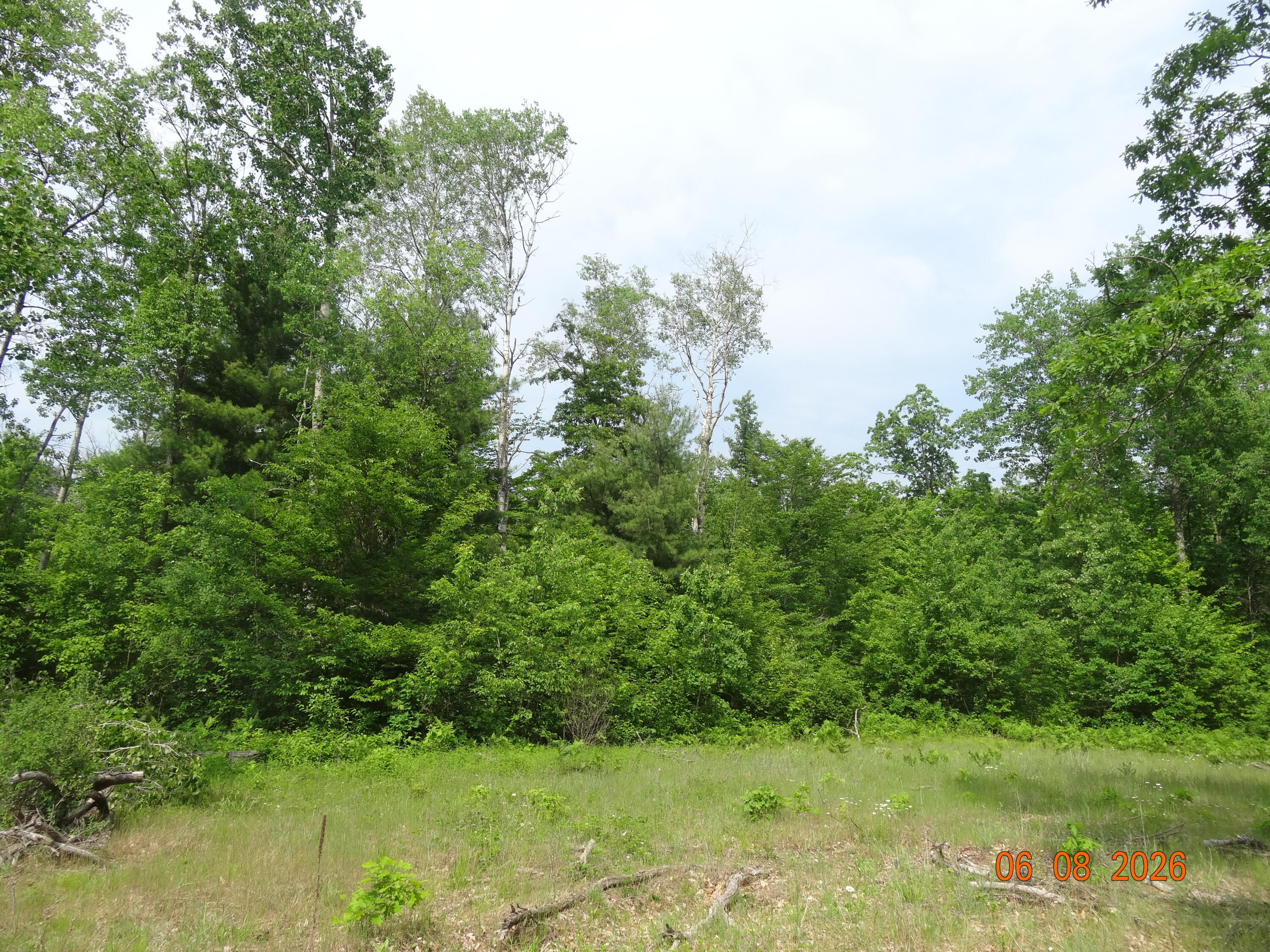 550 S Oak Avenue Property Photo 6