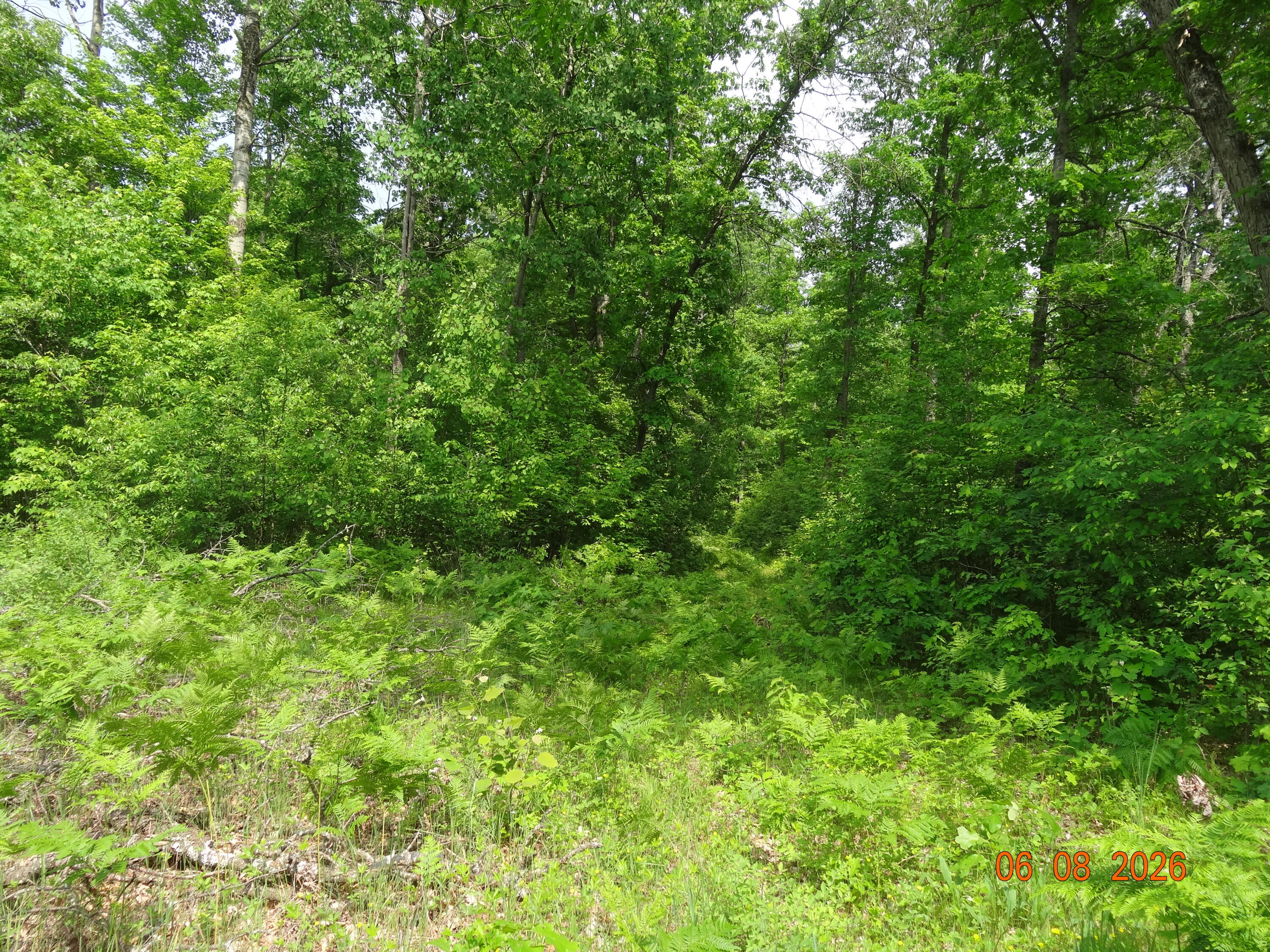 550 S Oak Avenue Property Photo 7