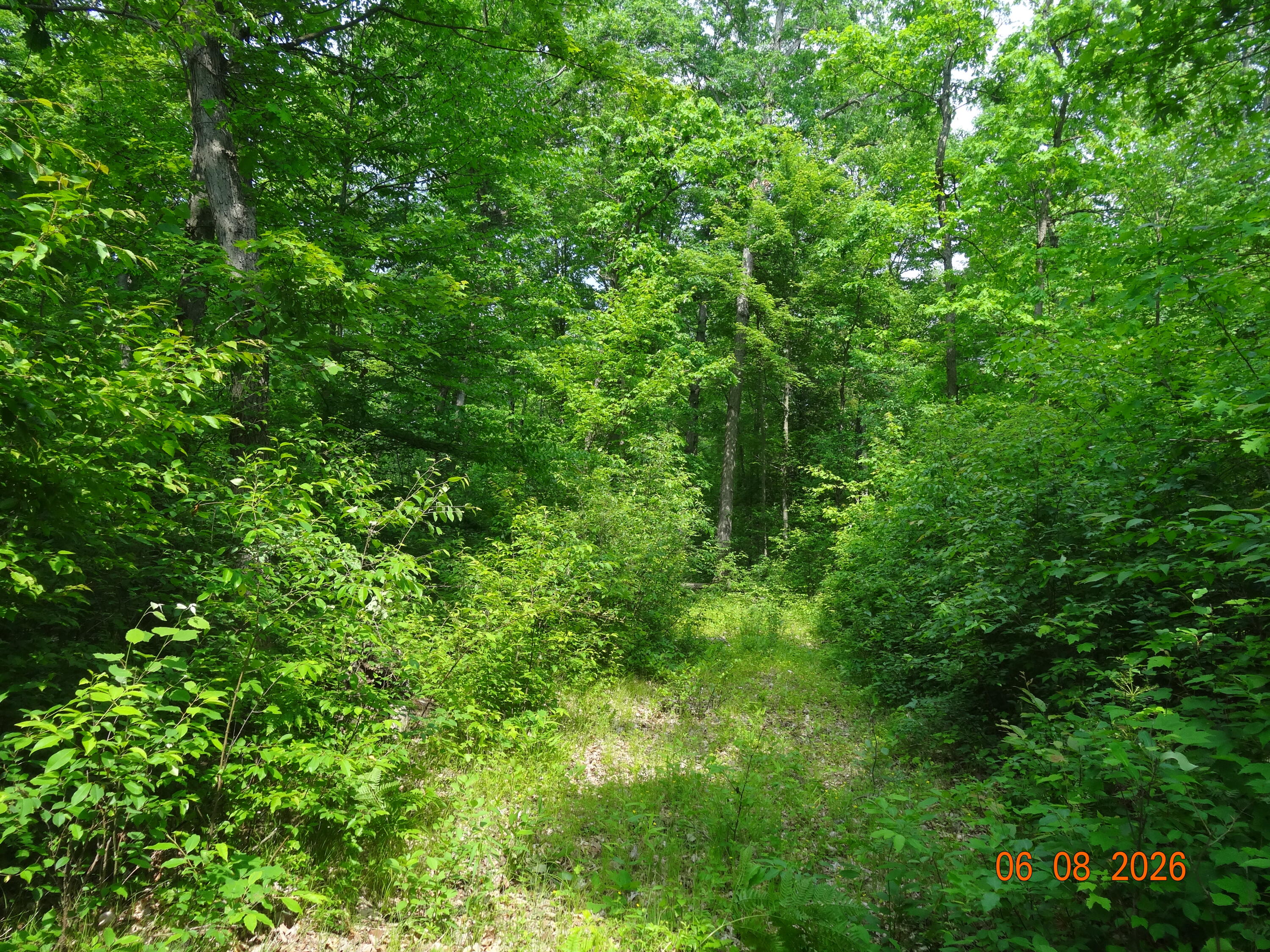 550 S Oak Avenue Property Photo 8