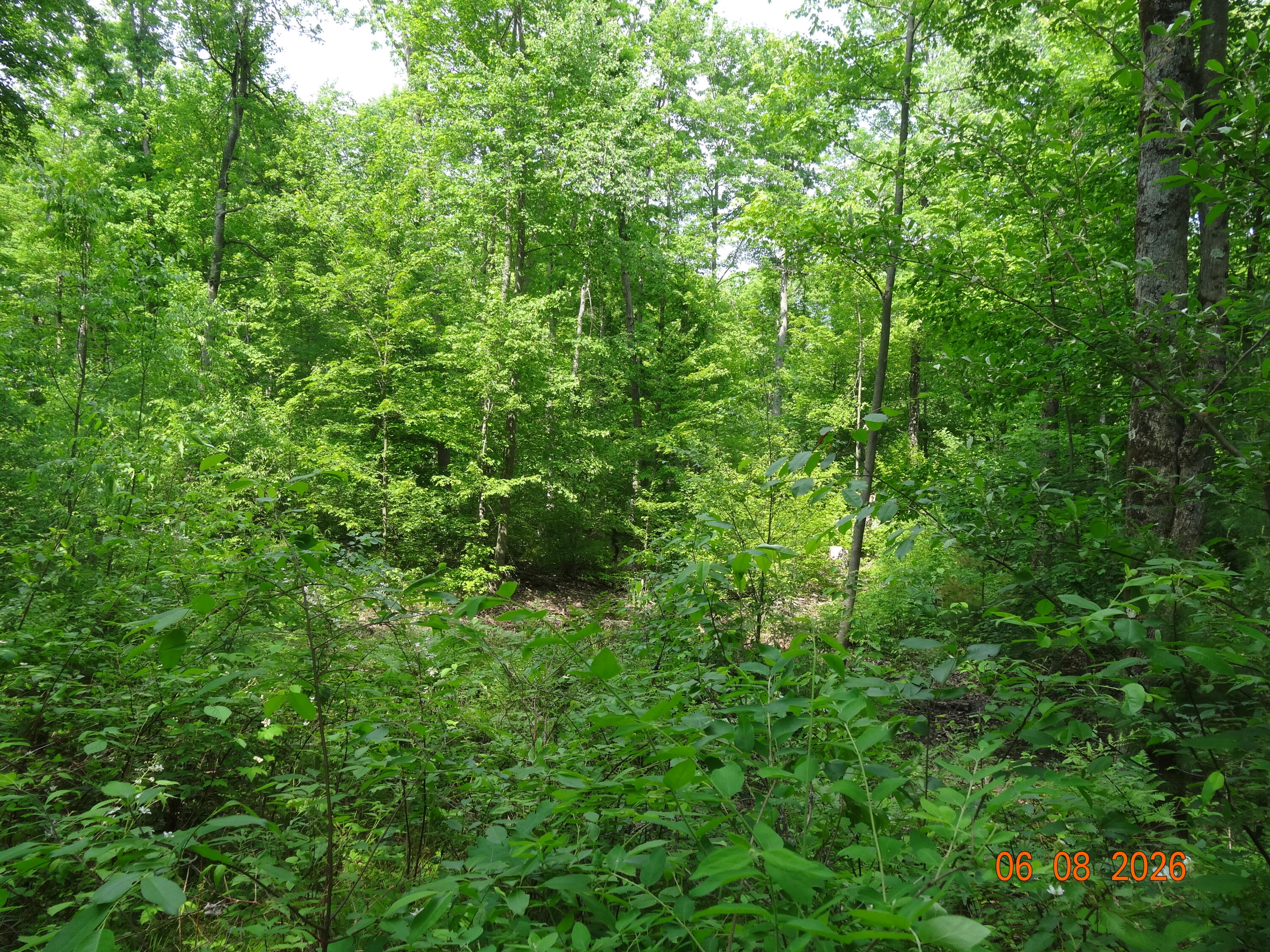 550 S Oak Avenue Property Photo 9