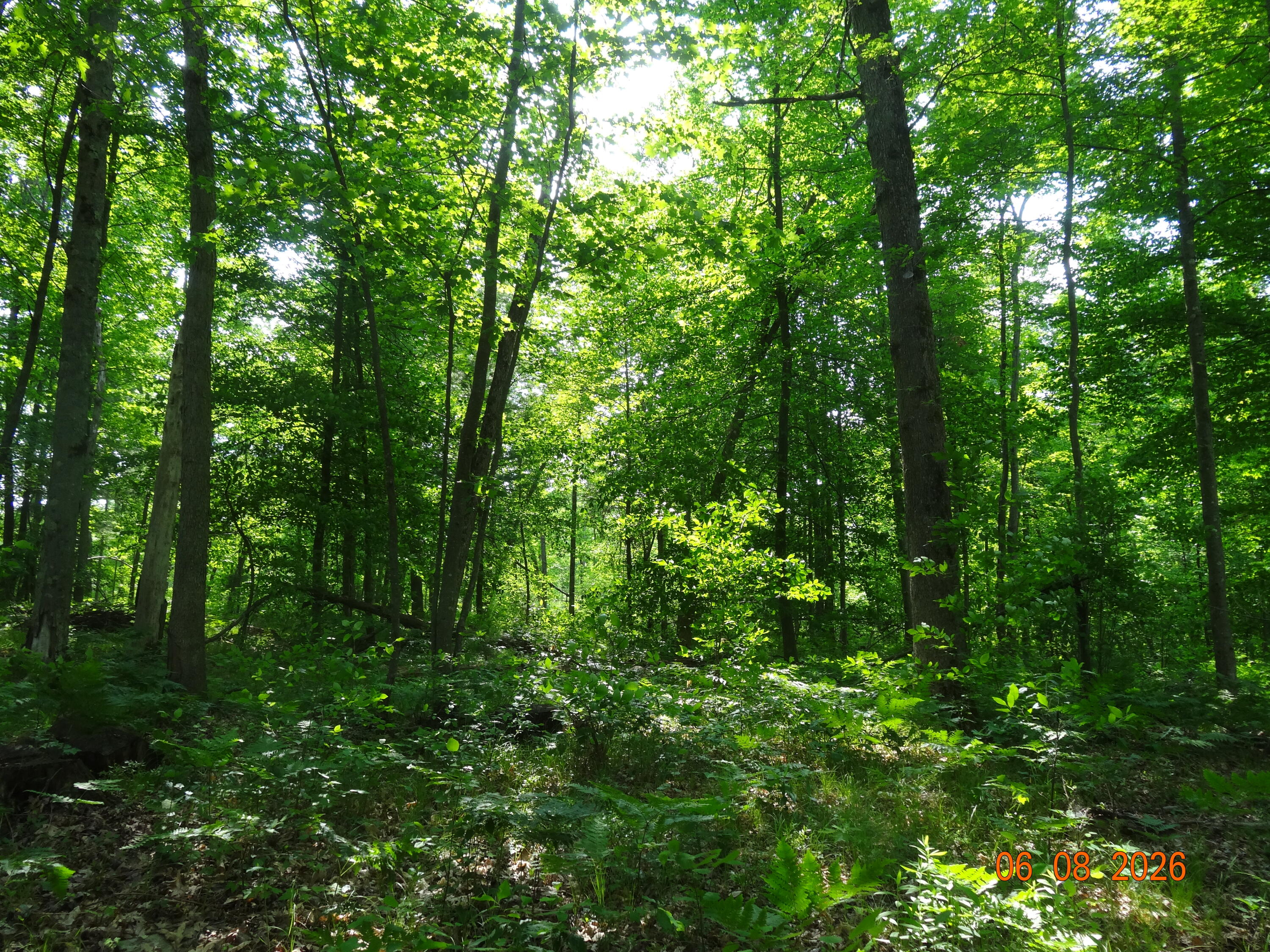 550 S Oak Avenue Property Photo 11