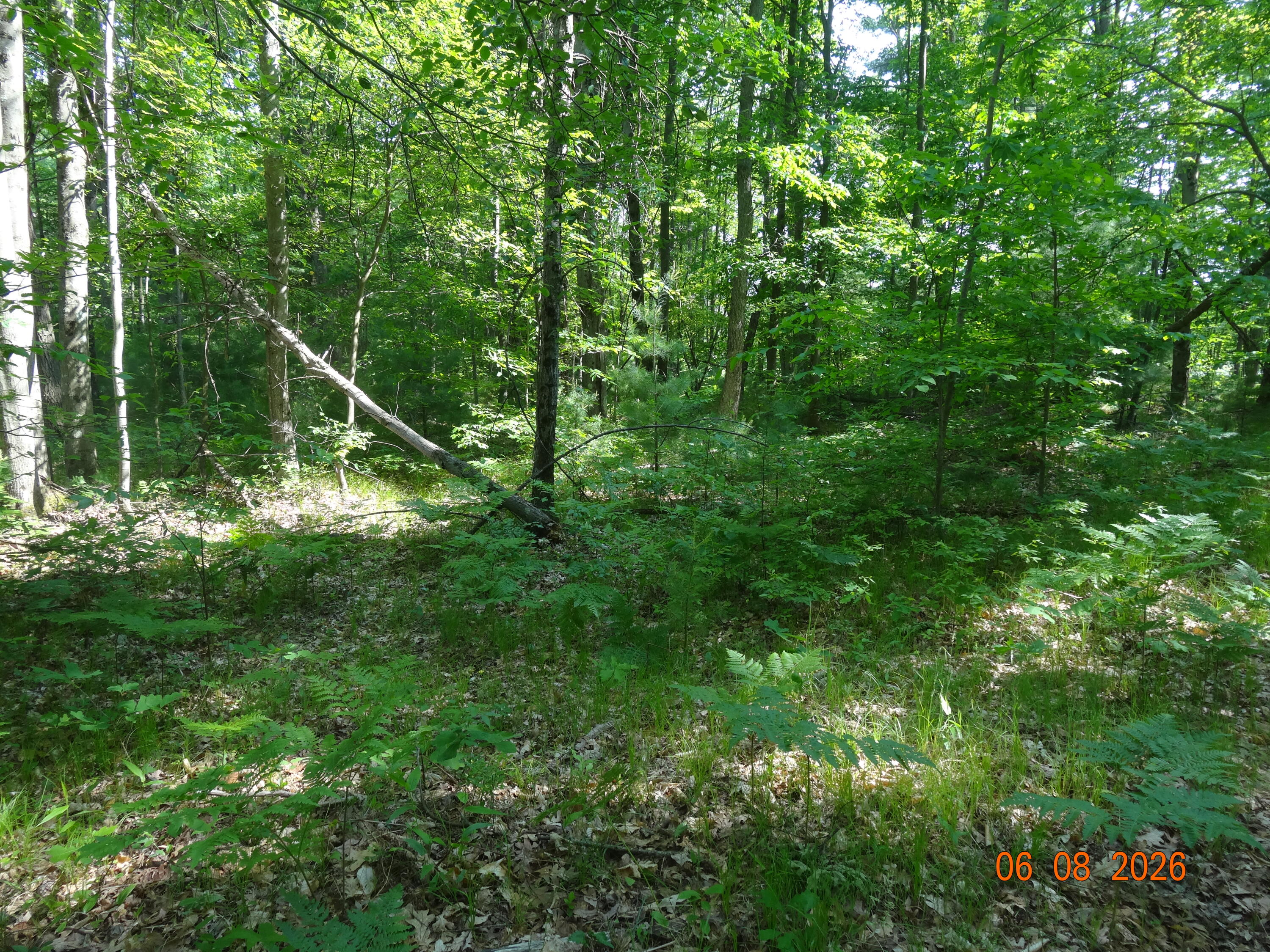 550 S Oak Avenue Property Photo 12