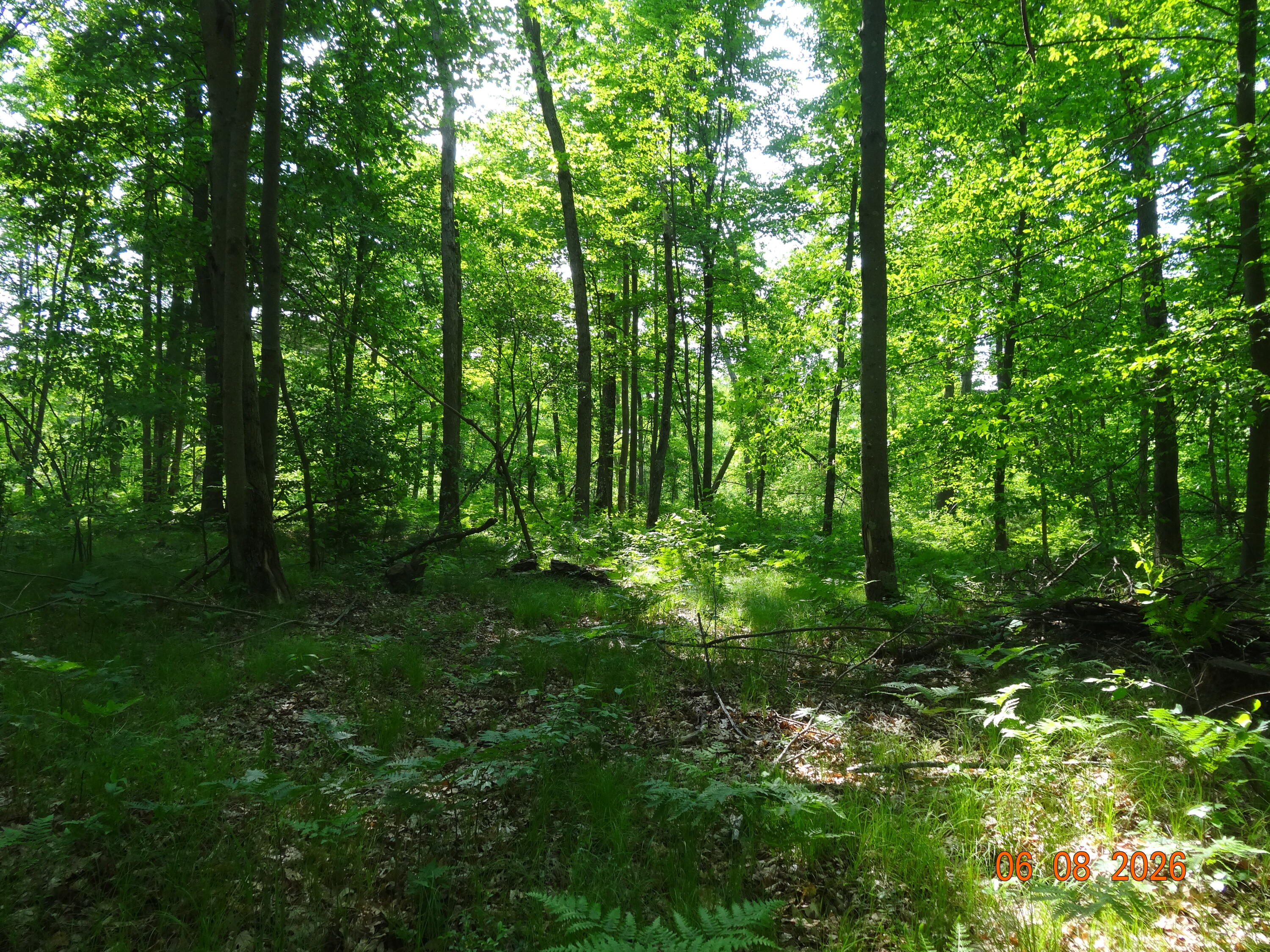 550 S Oak Avenue Property Photo 13