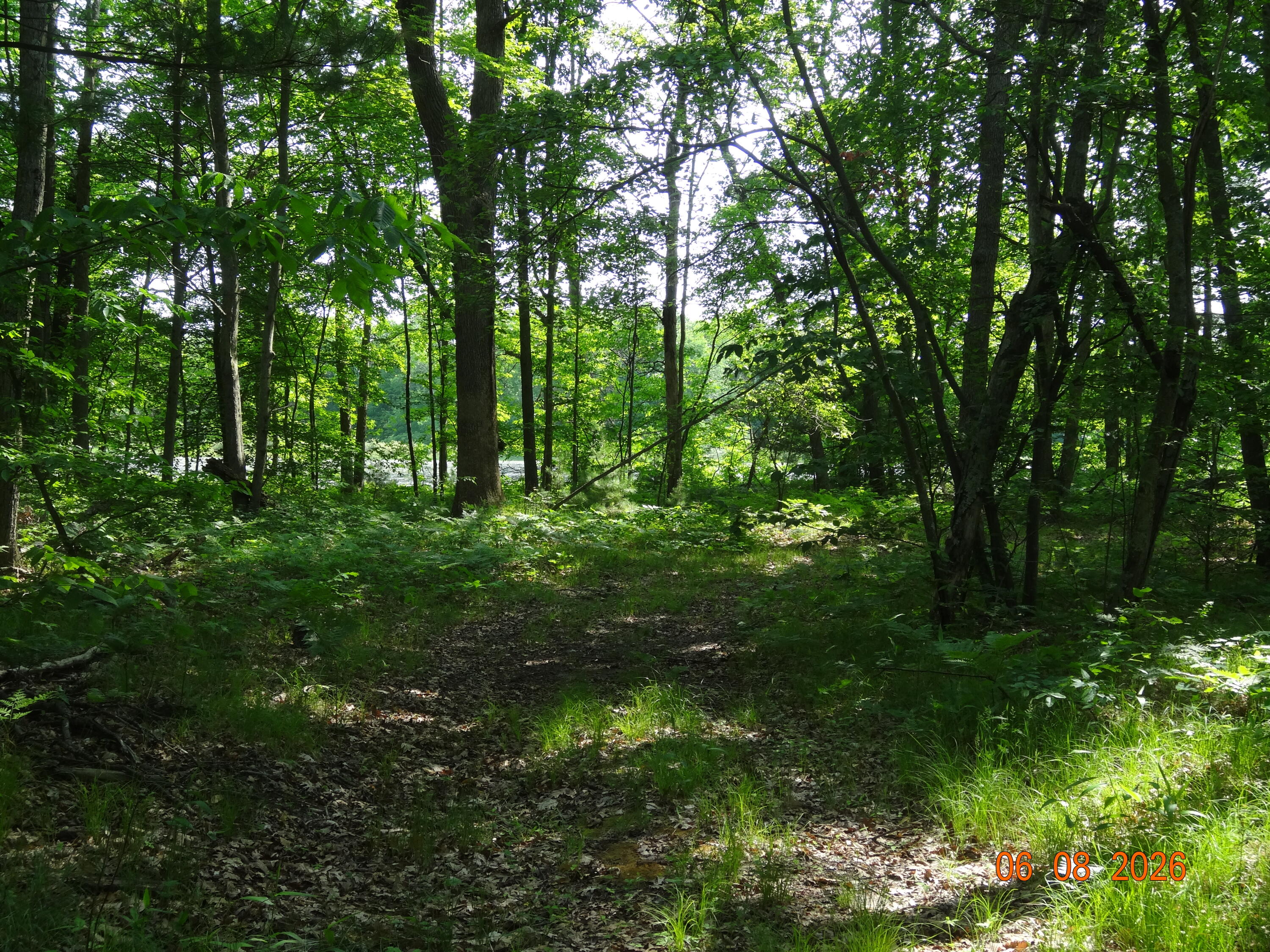 550 S Oak Avenue Property Photo 15