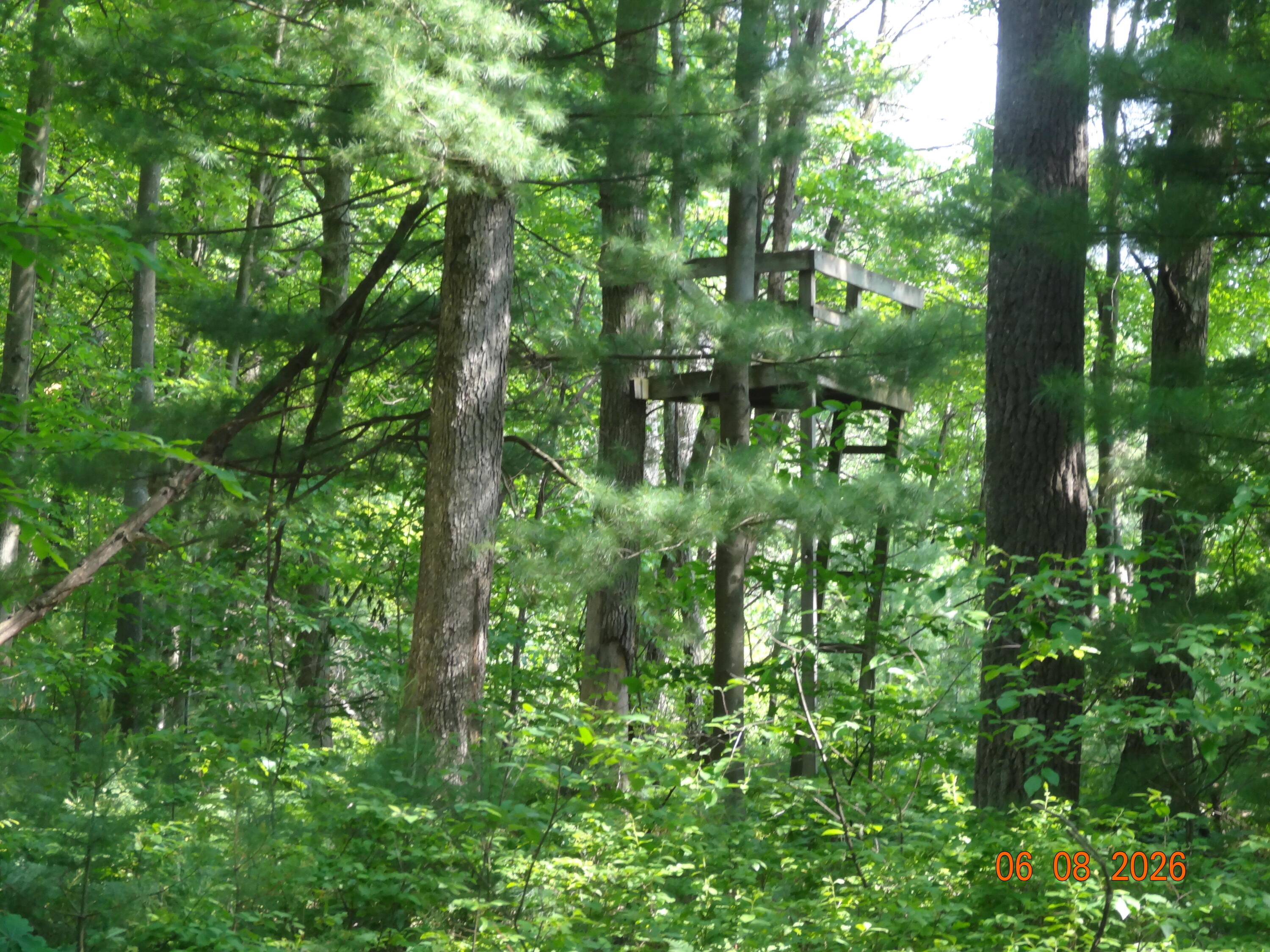 550 S Oak Avenue Property Photo 17
