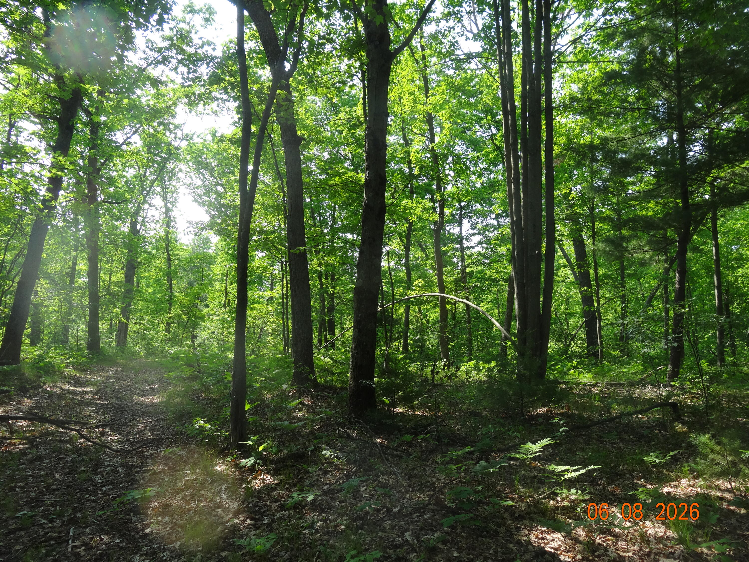 550 S Oak Avenue Property Photo 18
