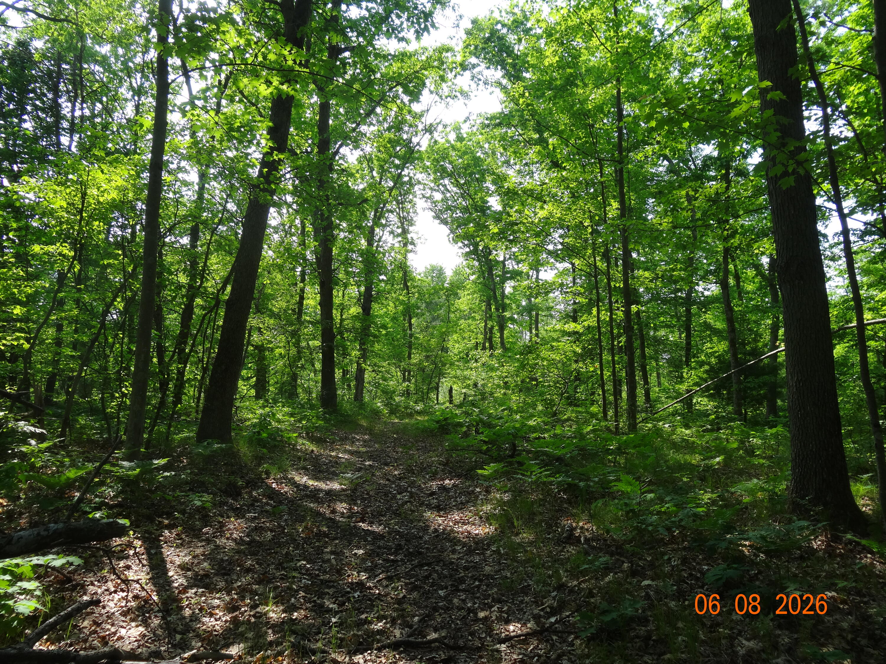 550 S Oak Avenue Property Photo 19