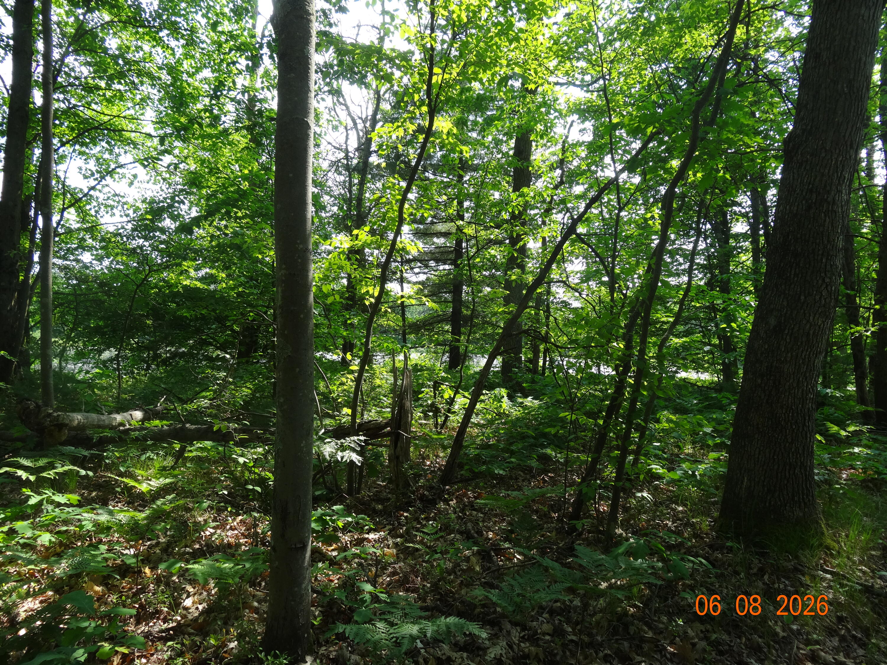 550 S Oak Avenue Property Photo 20