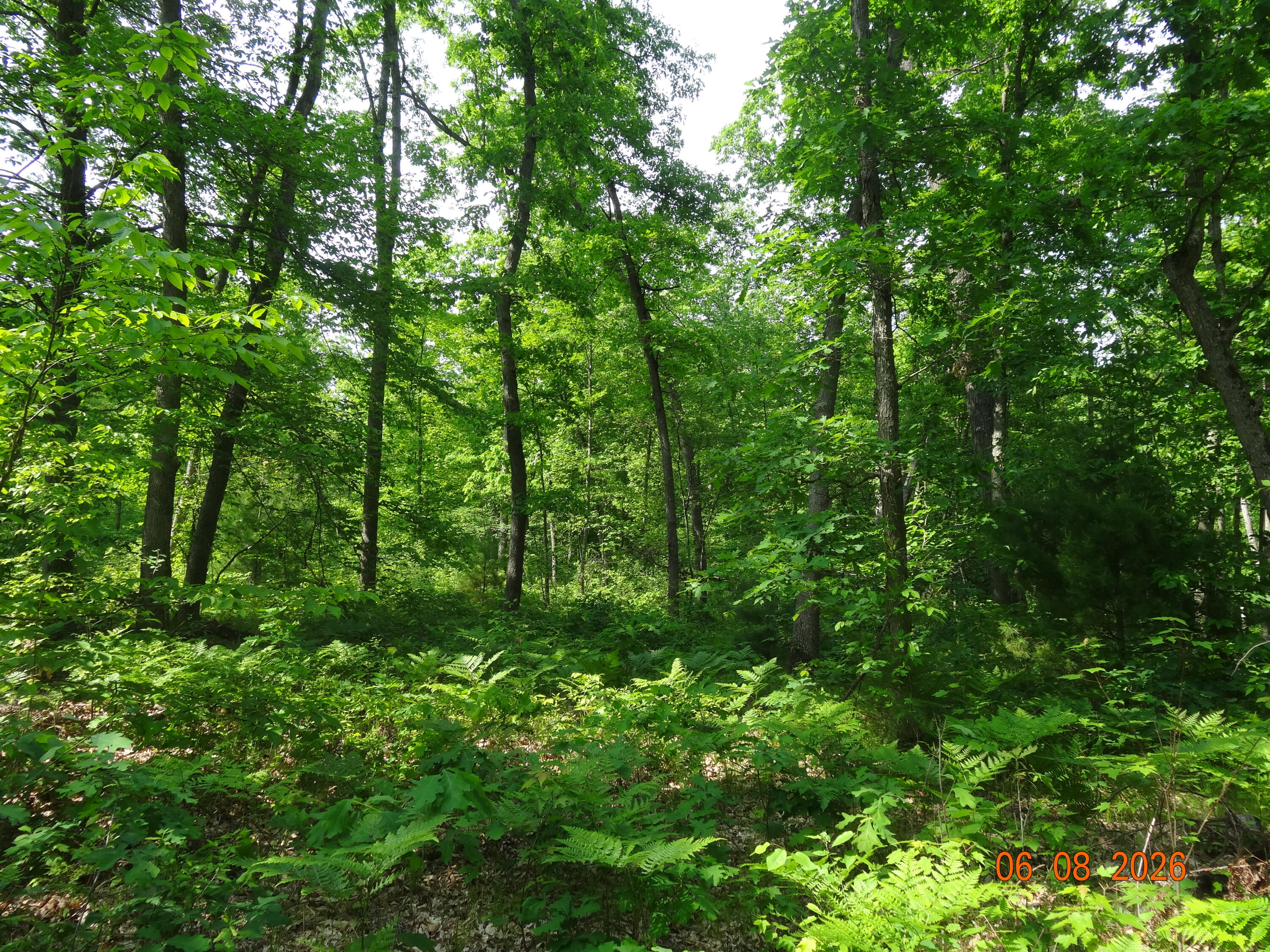 550 S Oak Avenue Property Photo 21