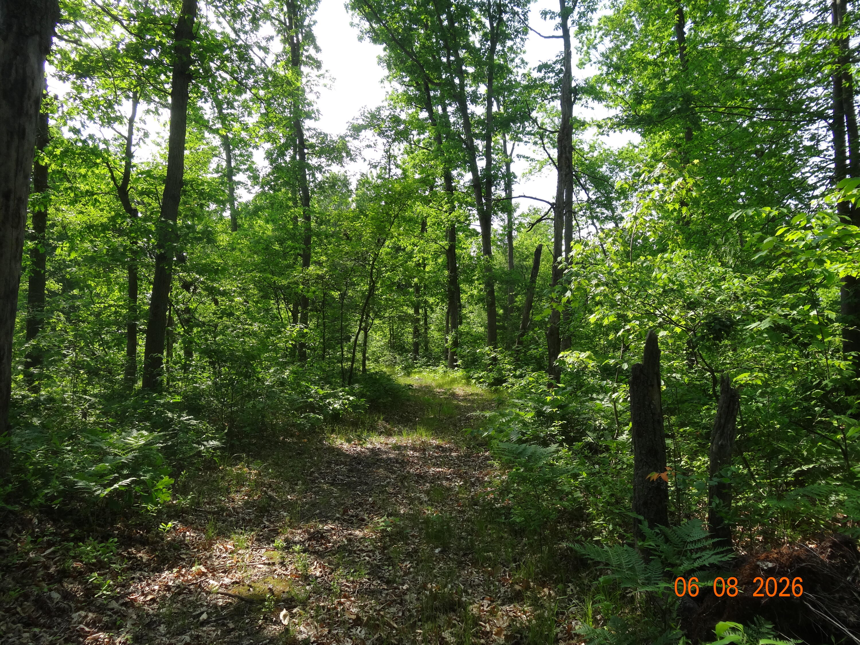 550 S Oak Avenue Property Photo 22