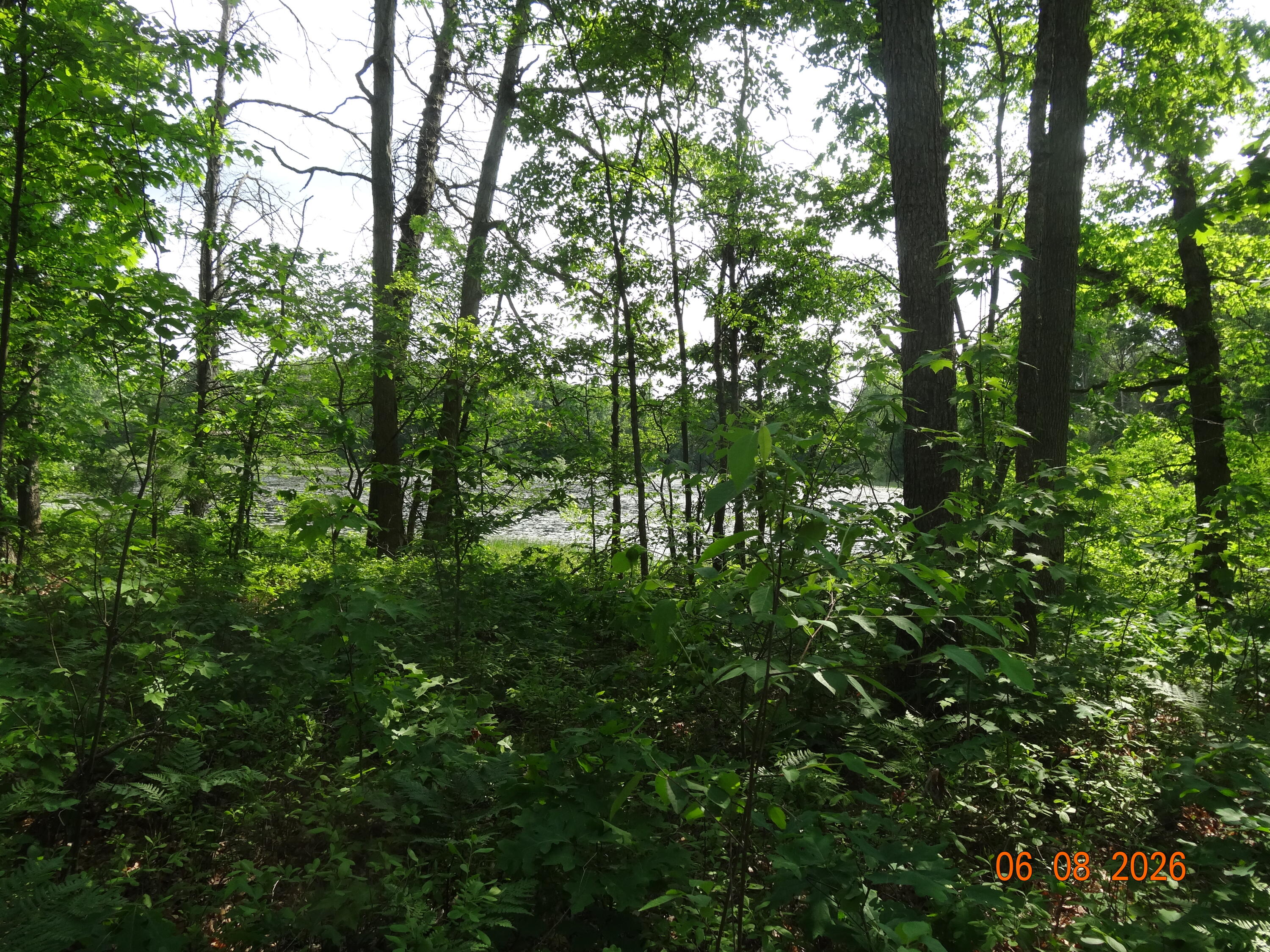 550 S Oak Avenue Property Photo 23
