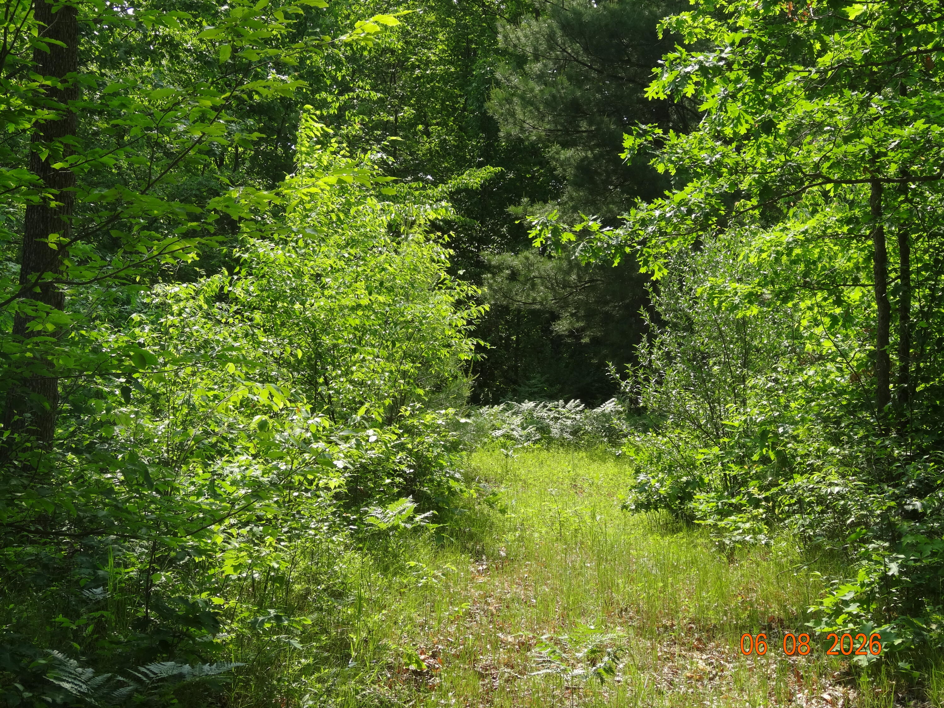 550 S Oak Avenue Property Photo 25