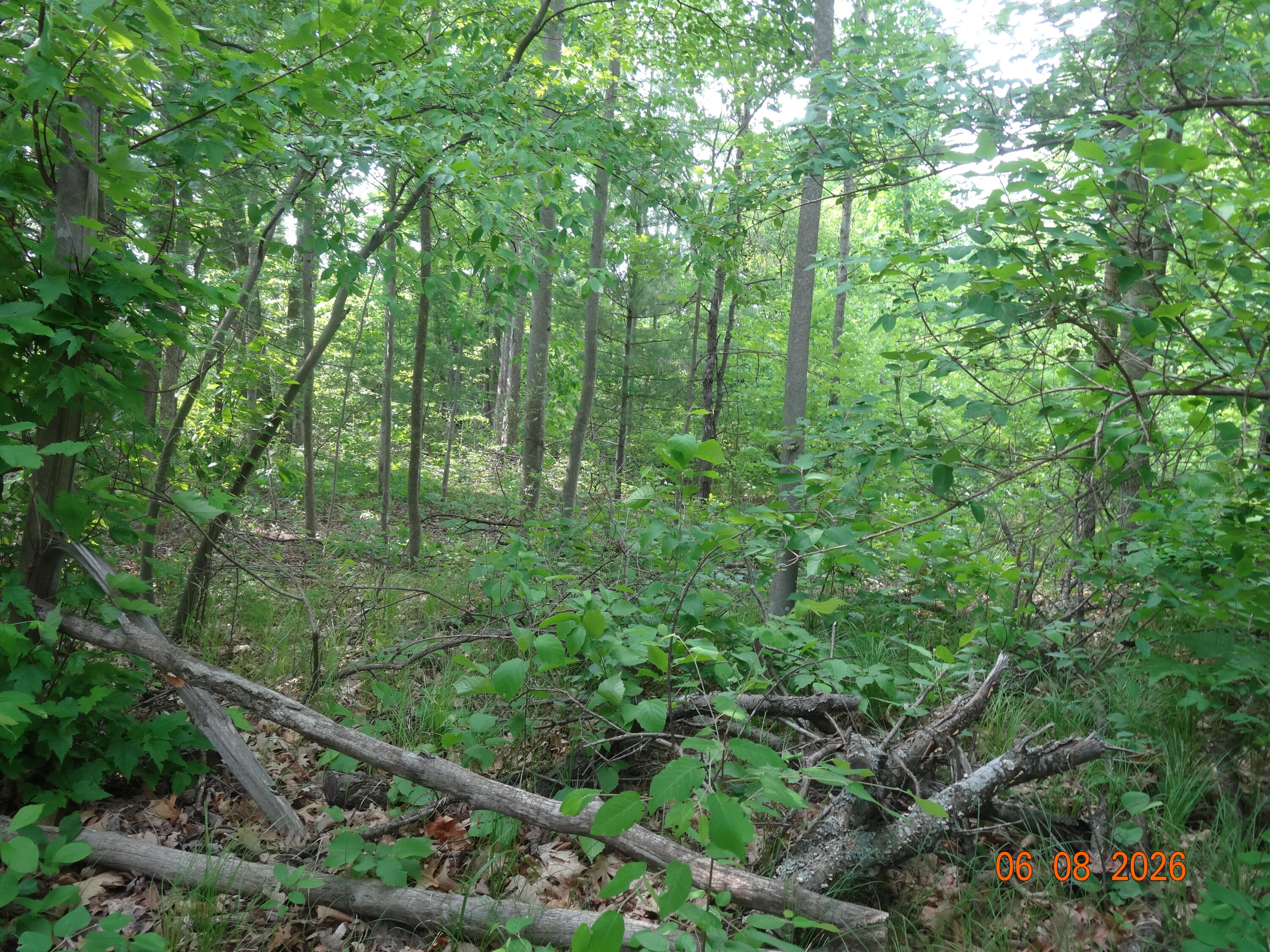 550 S Oak Avenue Property Photo 26