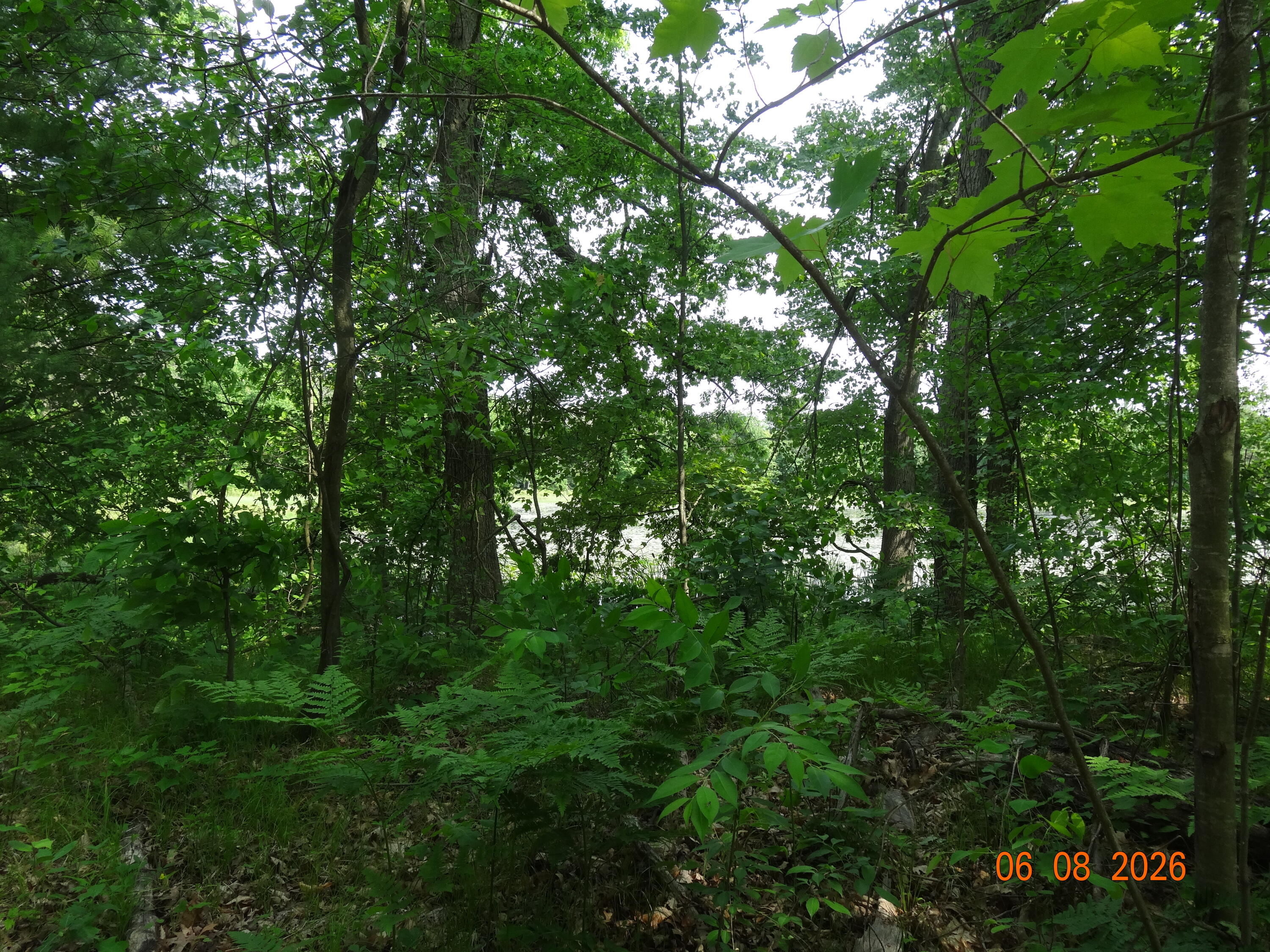 550 S Oak Avenue Property Photo 27