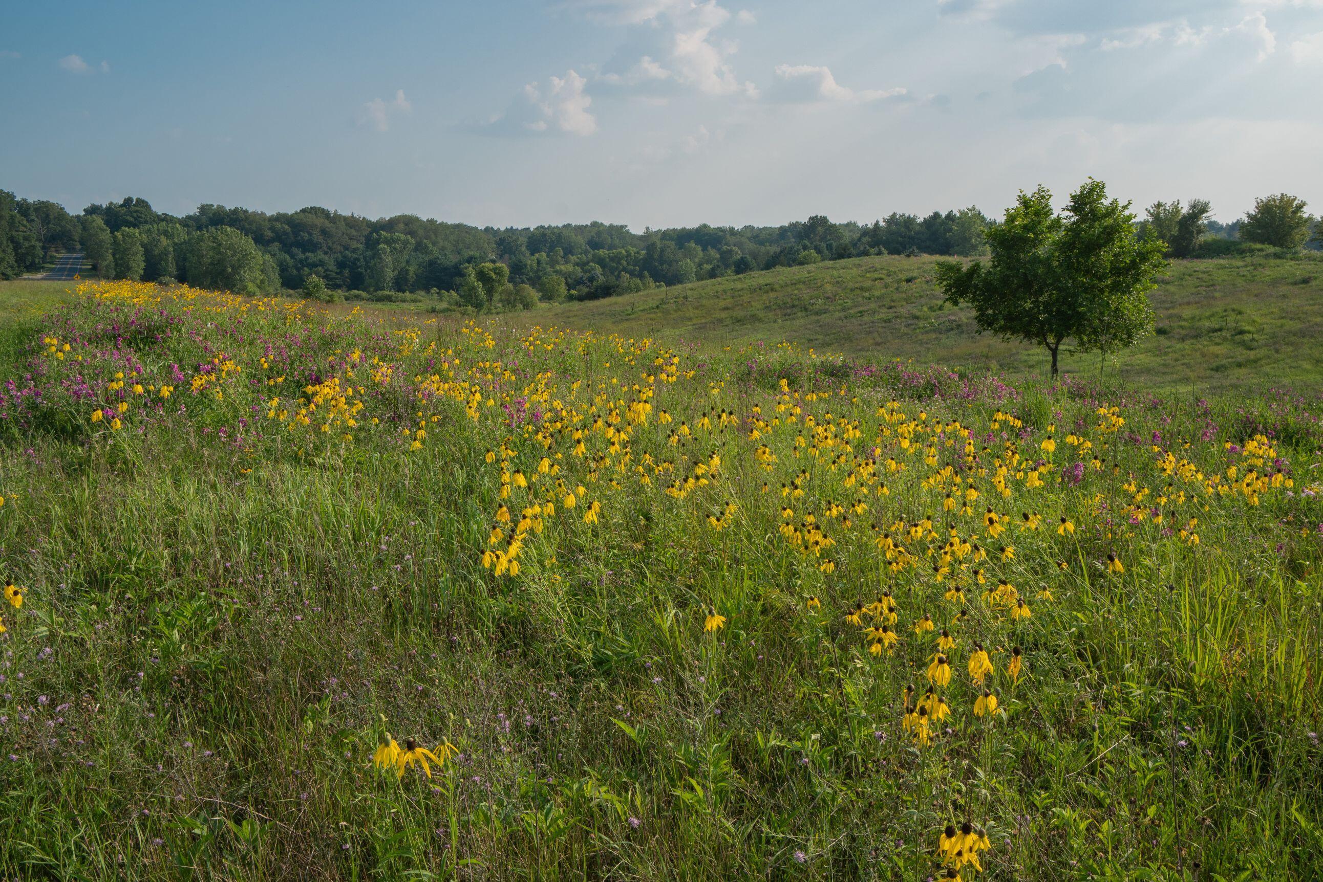 6697 Chaffey Creek Trail Property Photo 31