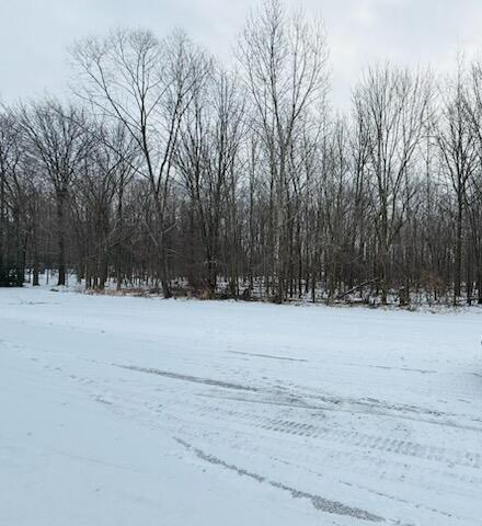 66 Hickory Trail Property Photo 4