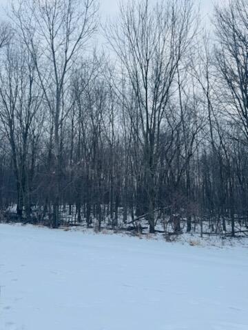 66 Hickory Trail Property Photo 5