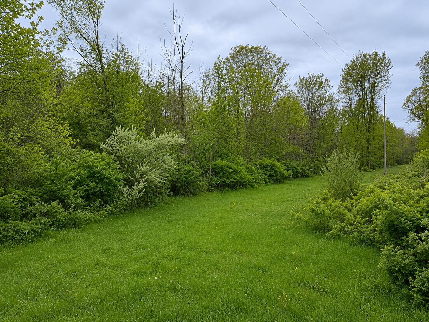 8400 Kruger Road Property Photo 6