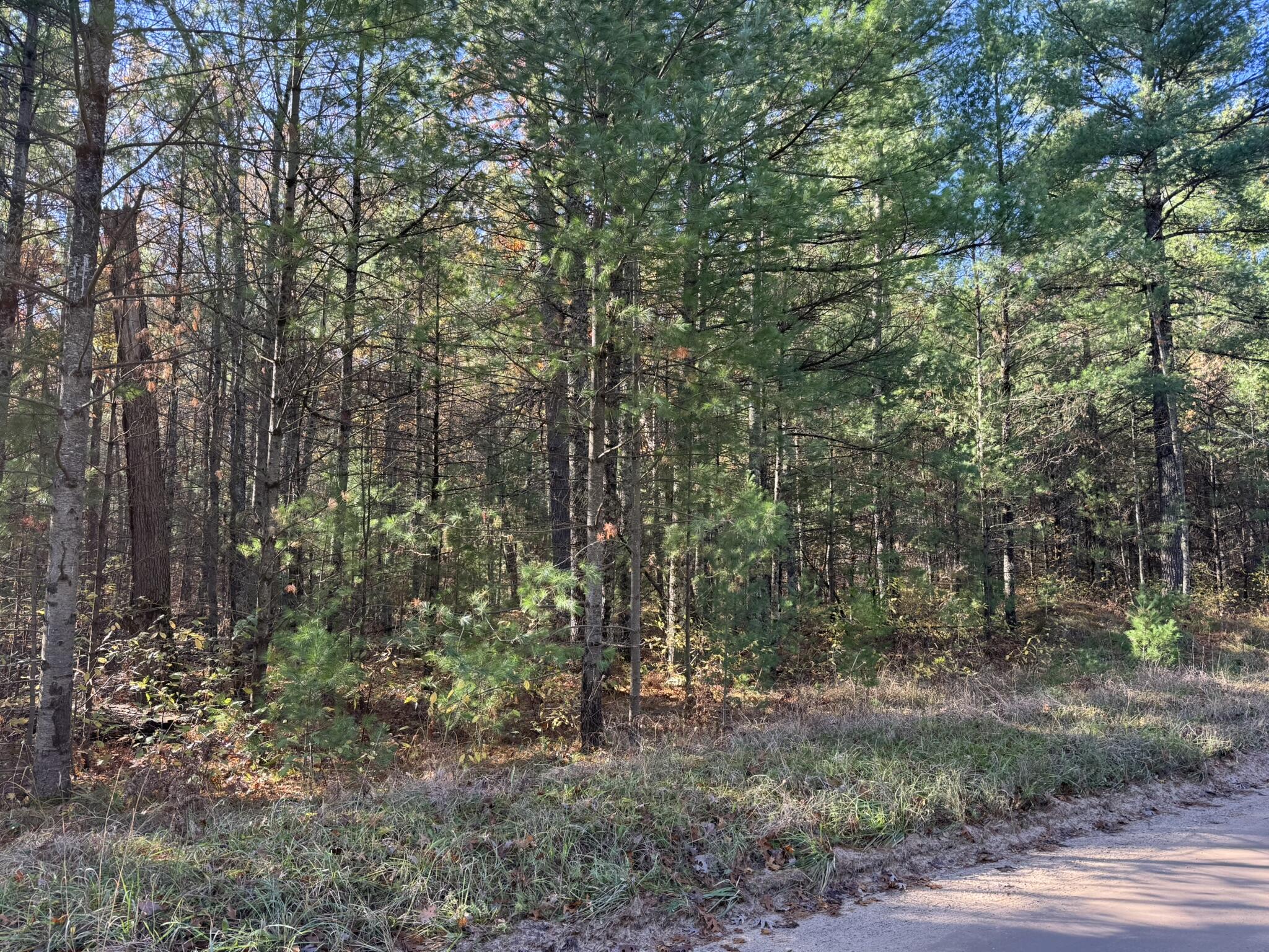 Parcel 1 County Line Road Property Photo 1