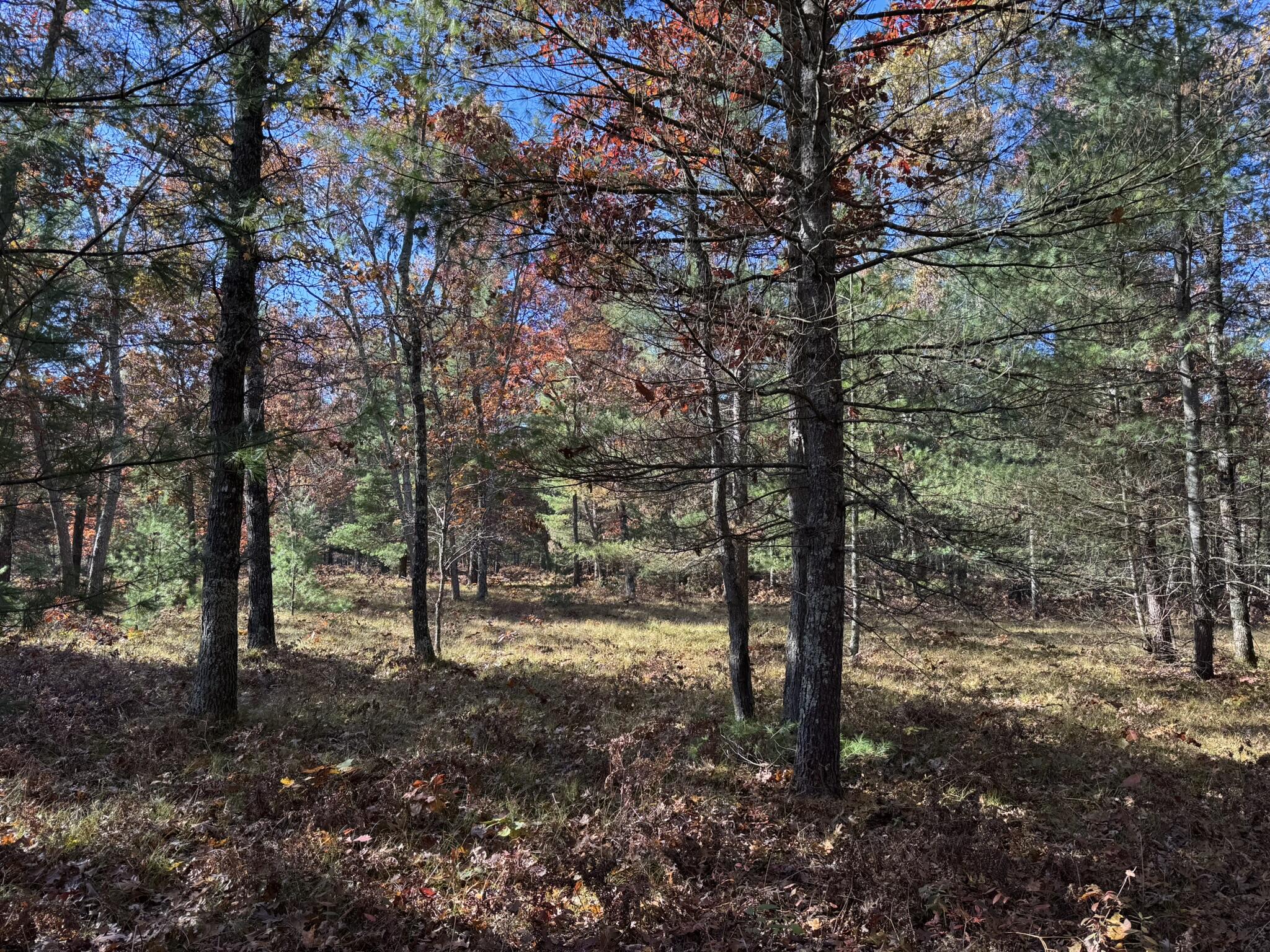 Parcel 3 County Line Road Property Photo 1