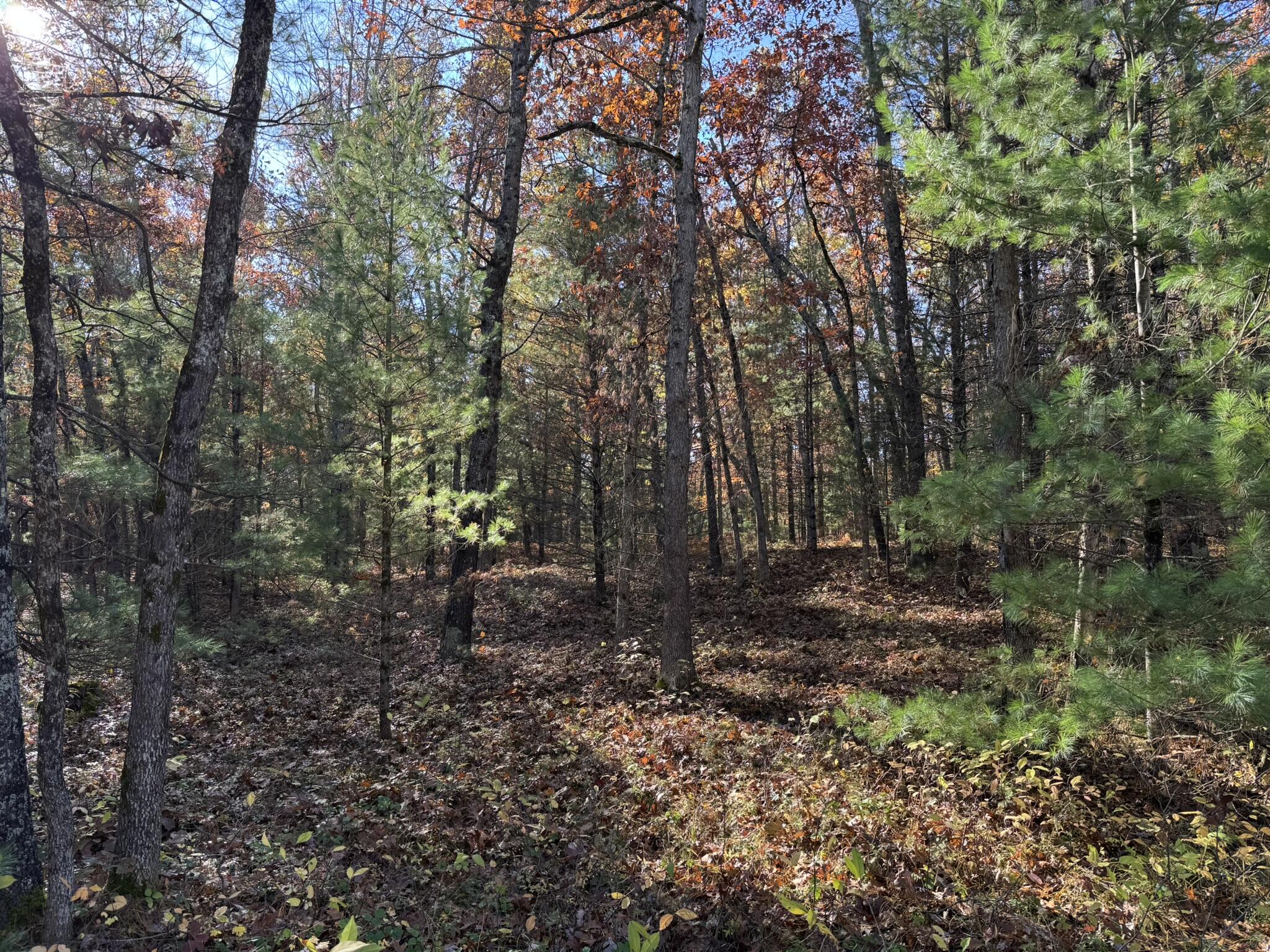 Parcel 5 County Line Road Property Photo 1