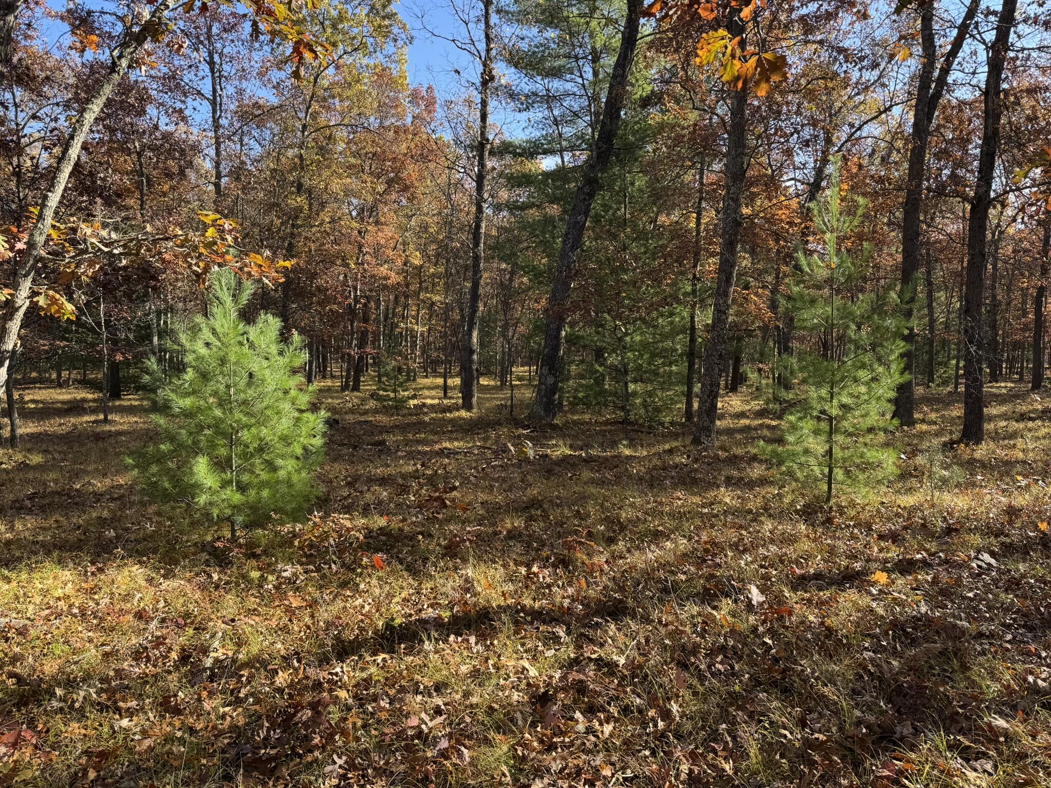 Parcel 7 County Line Road Property Photo 1