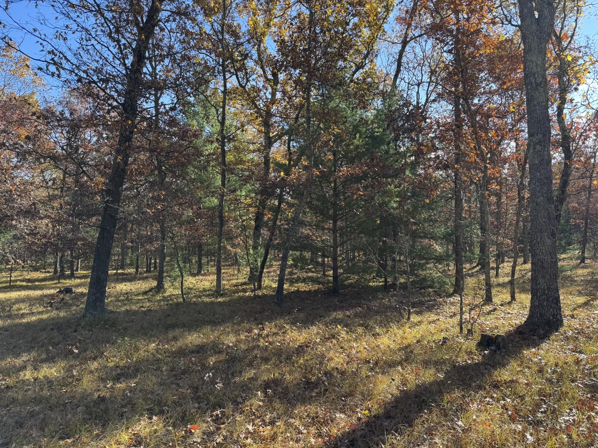 Parcel 7 County Line Road Property Photo 3