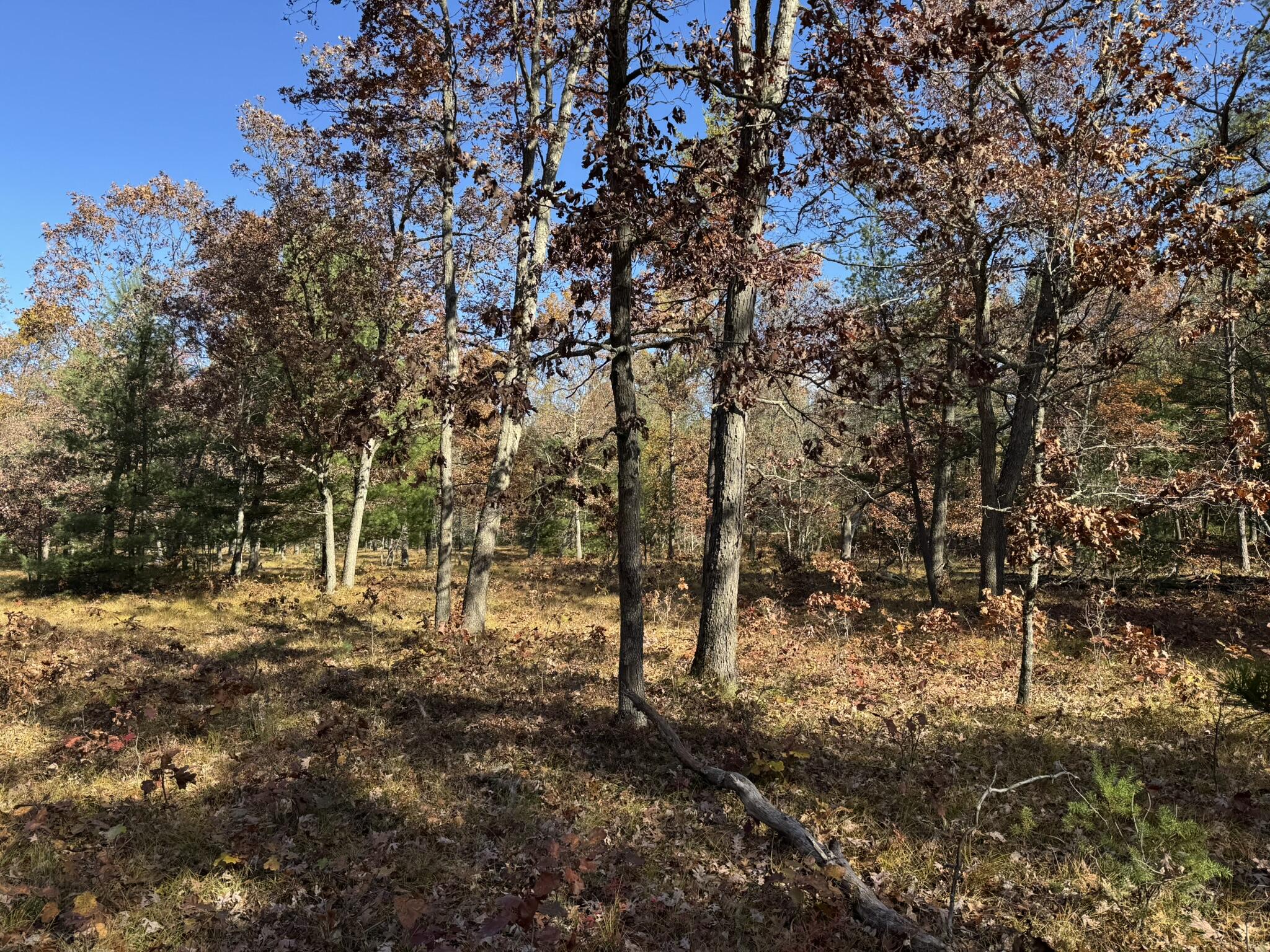 Parcel 9 County Line Road Property Photo 3