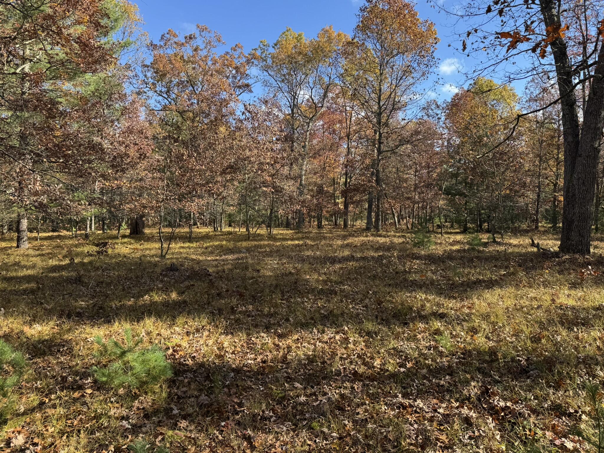 Parcel 11 County Line Road Property Photo 1