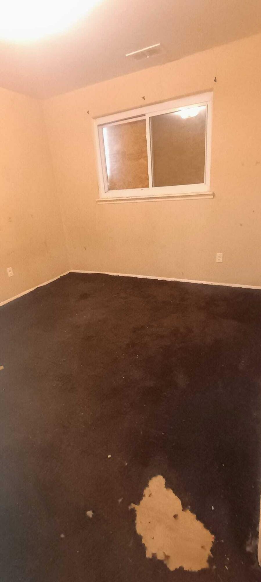 6121 Plainview Avenue Property Photo 20