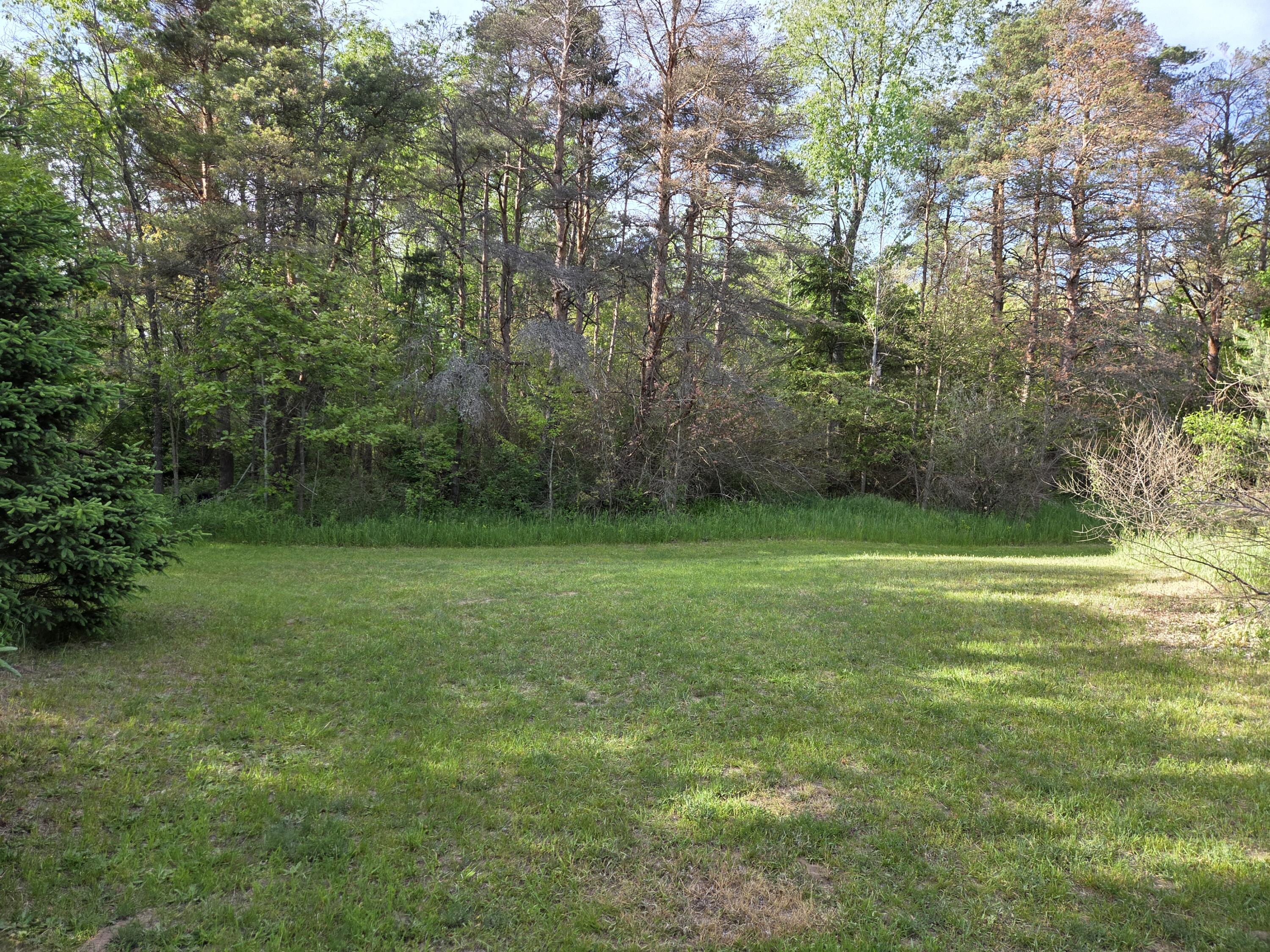 1138 N Thornapple Avenue Property Photo 1