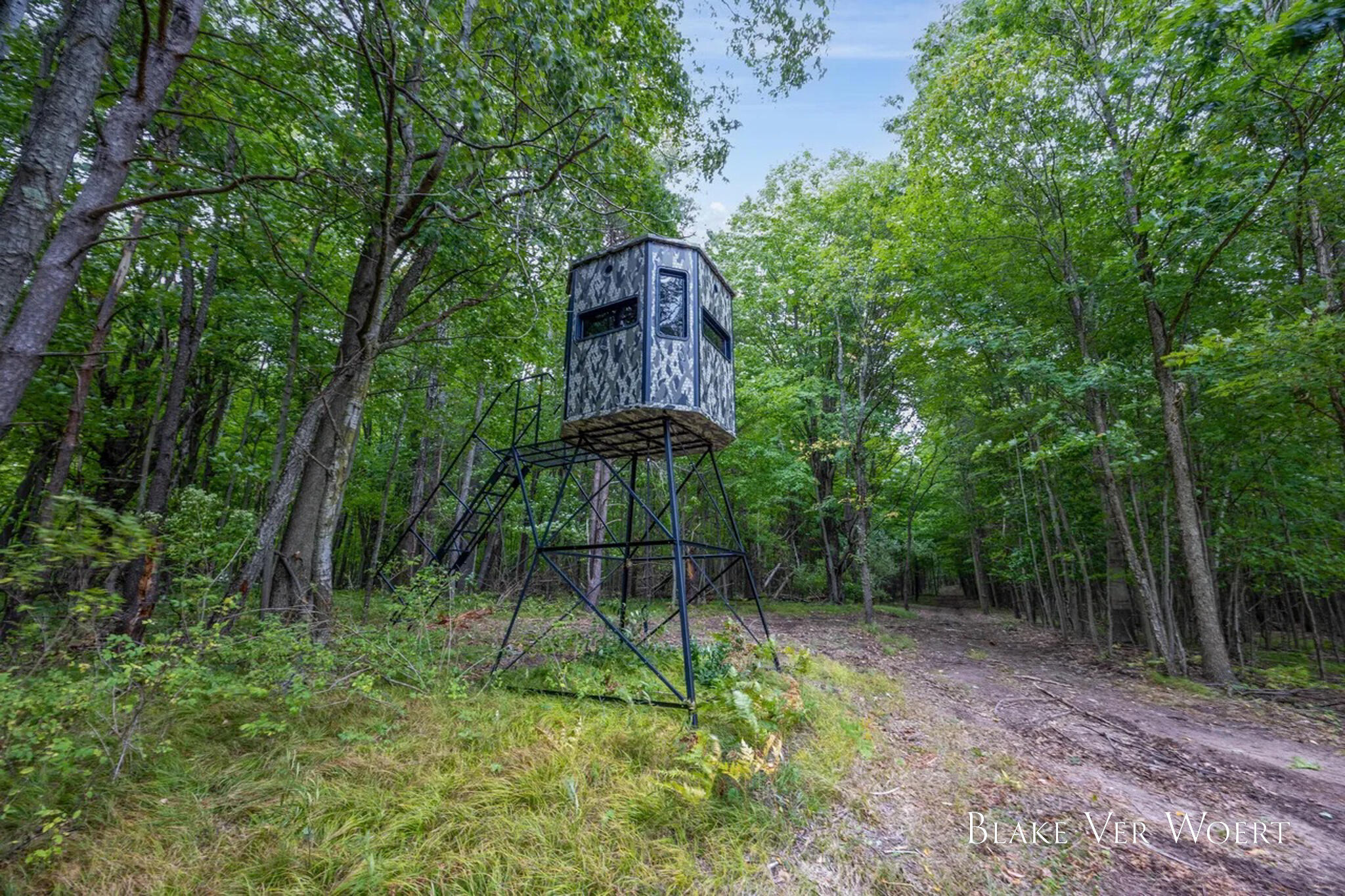 13980 12 Mile Property Photo 7